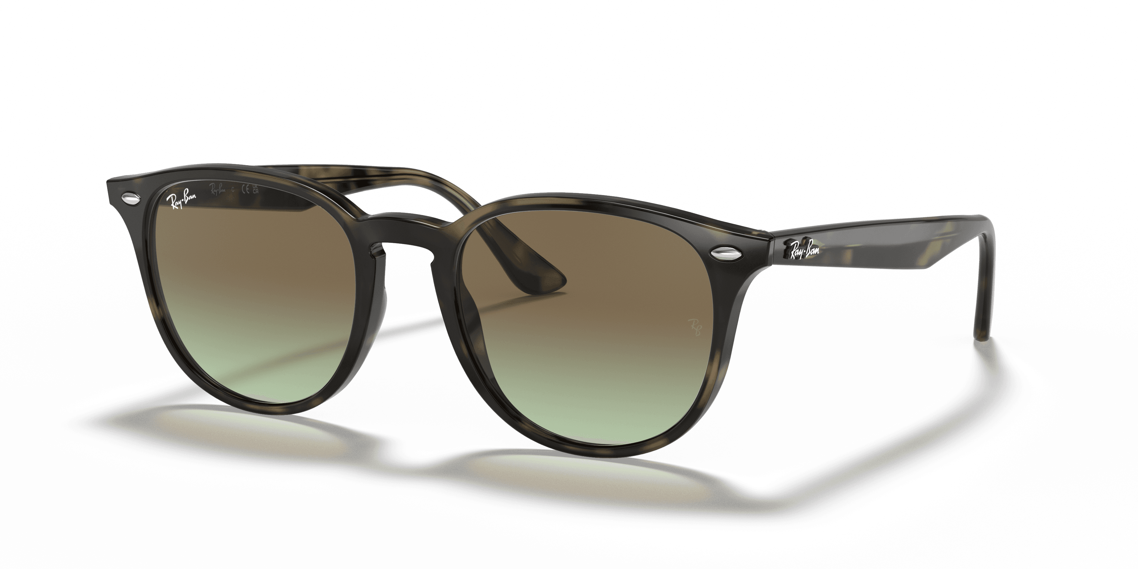 Ray-Ban 0RB4259 Güneş Gözlüğü