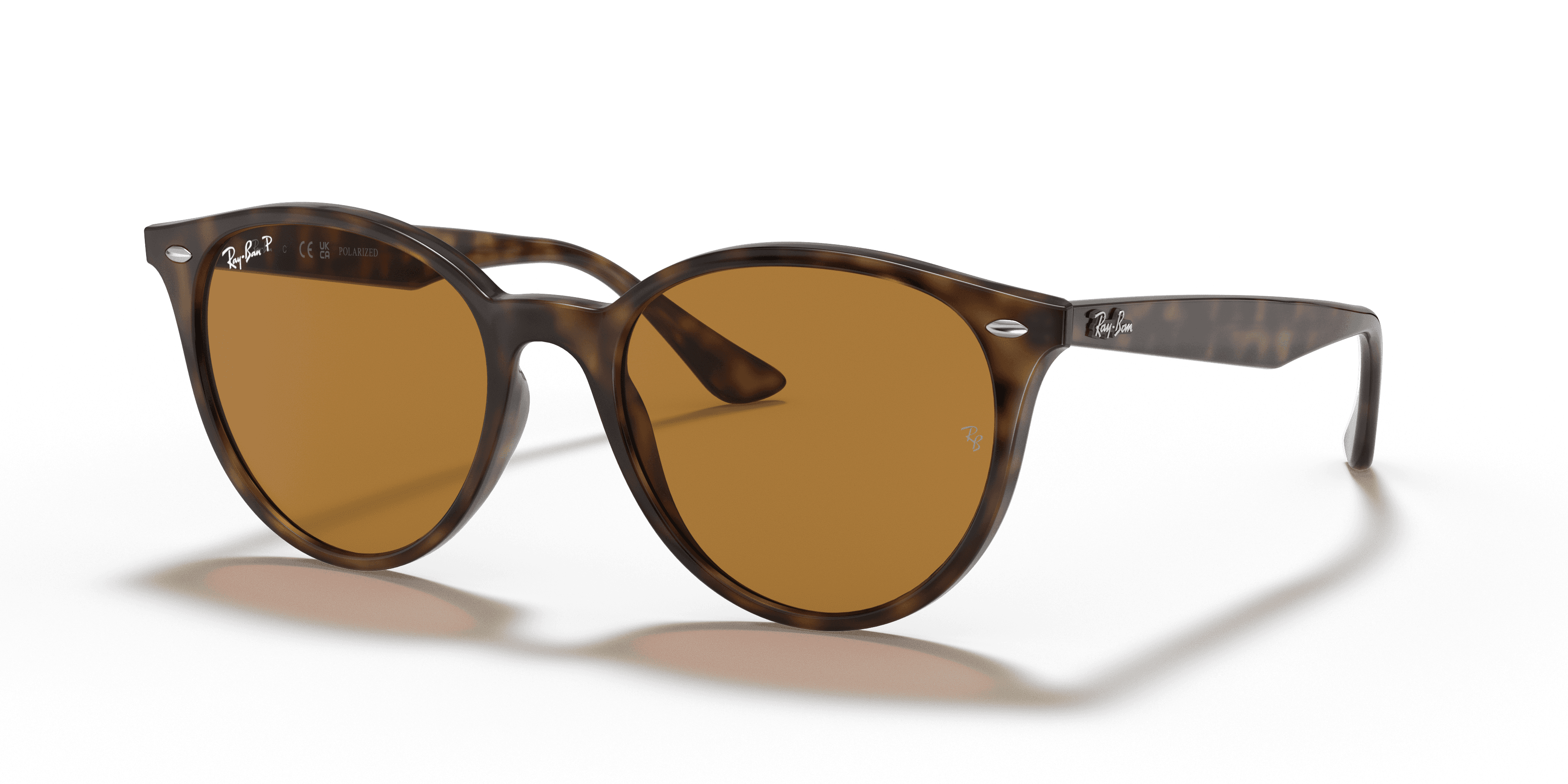 Ray-Ban 0RB4305 Güneş Gözlüğü