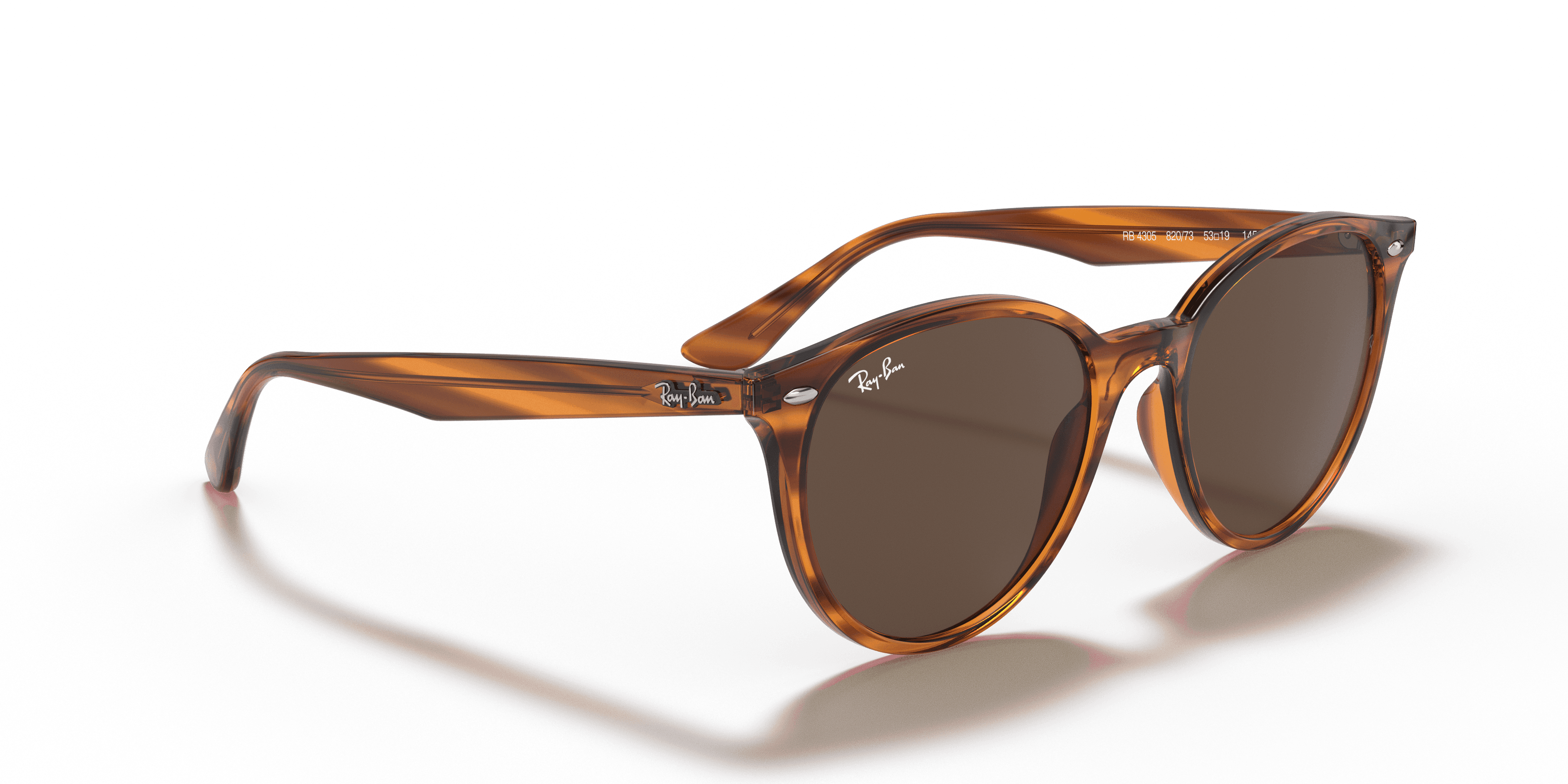 Ray-Ban 0RB4305 Güneş Gözlüğü 4