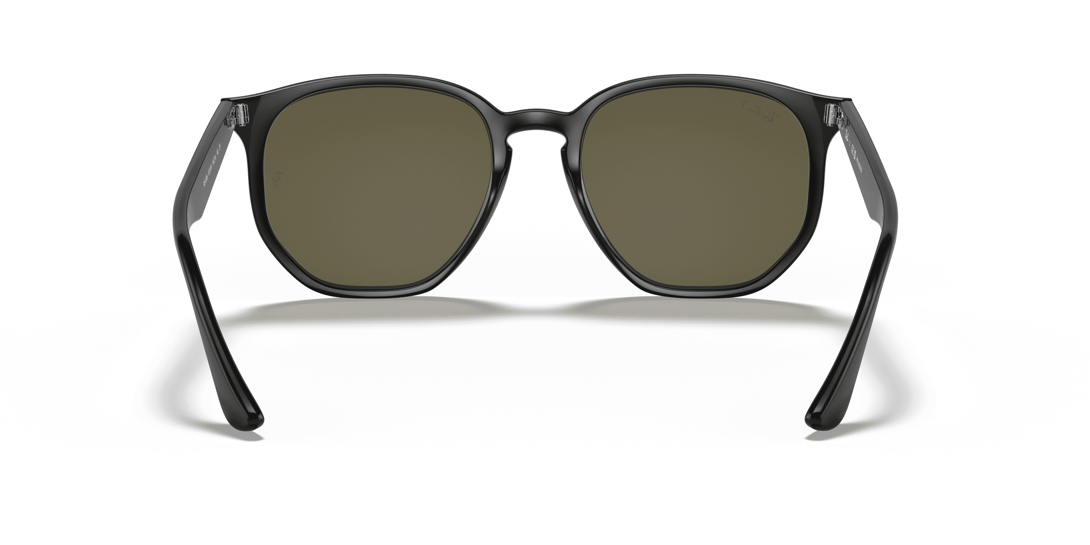 Ray-Ban 0RB4306 Güneş Gözlüğü 3