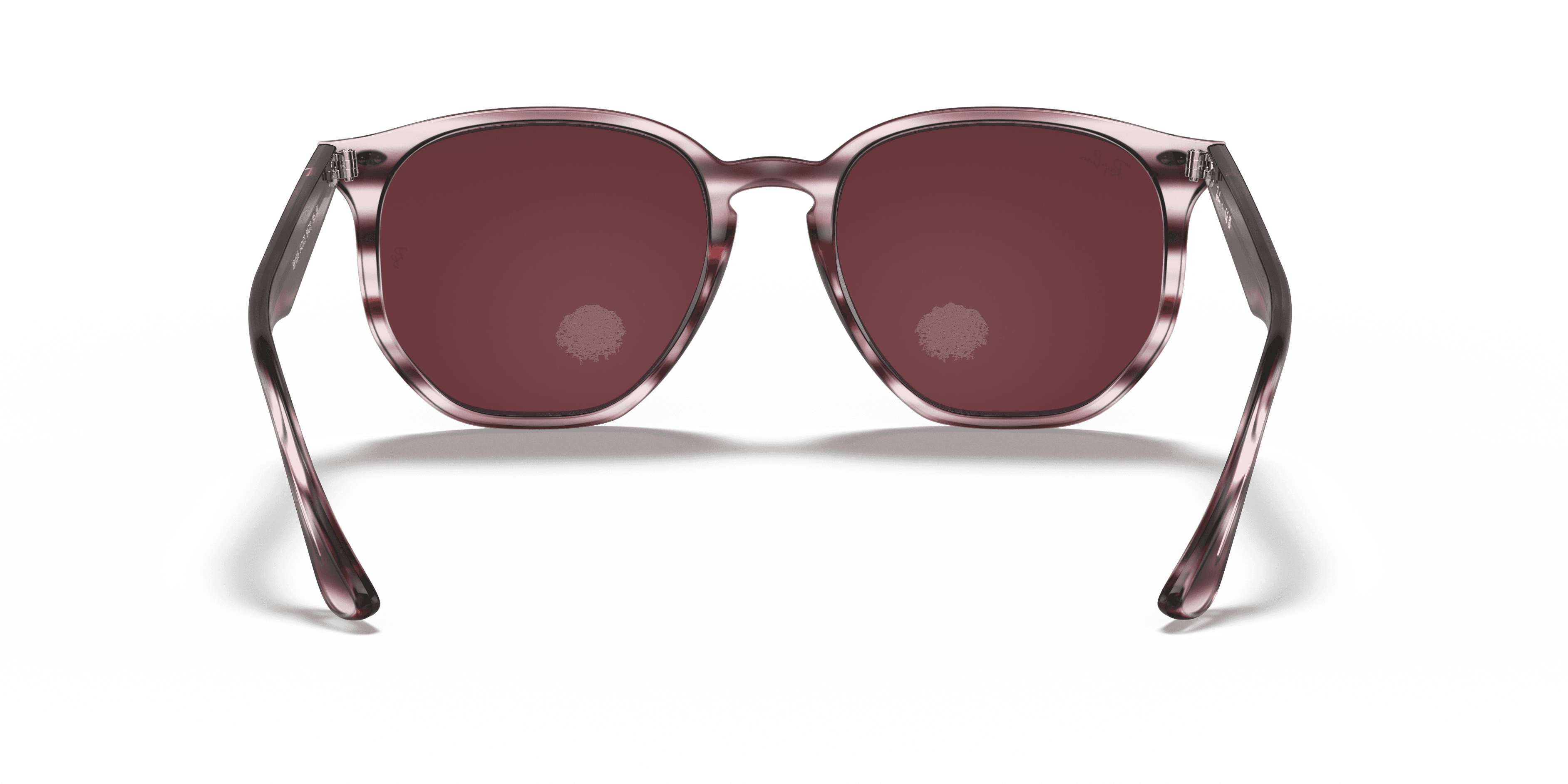Ray-Ban 0RB4306 Güneş Gözlüğü 3