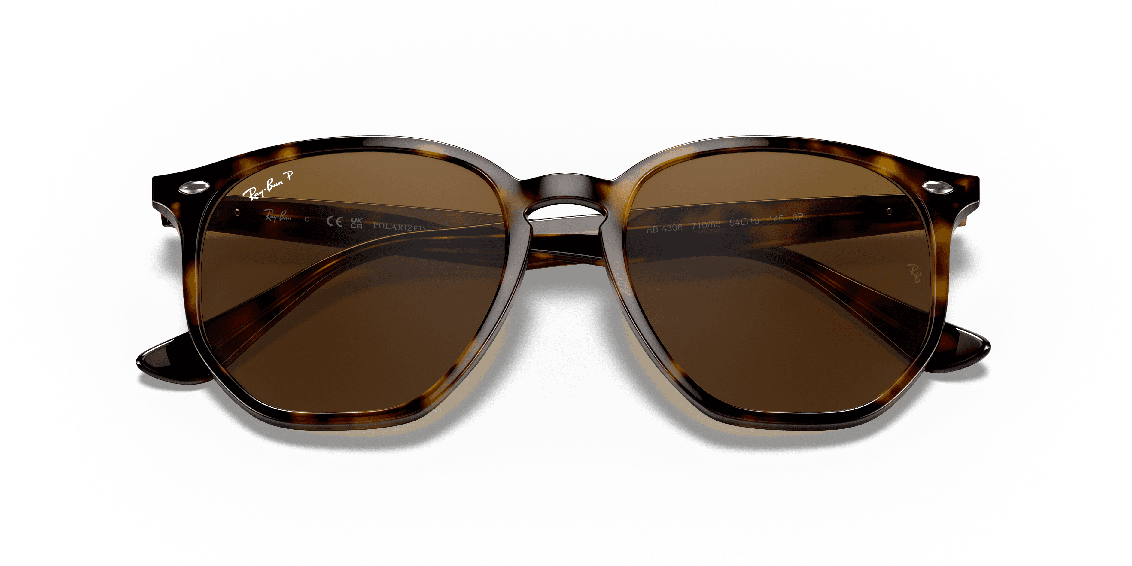 Ray-Ban 0RB4306 Güneş Gözlüğü 6