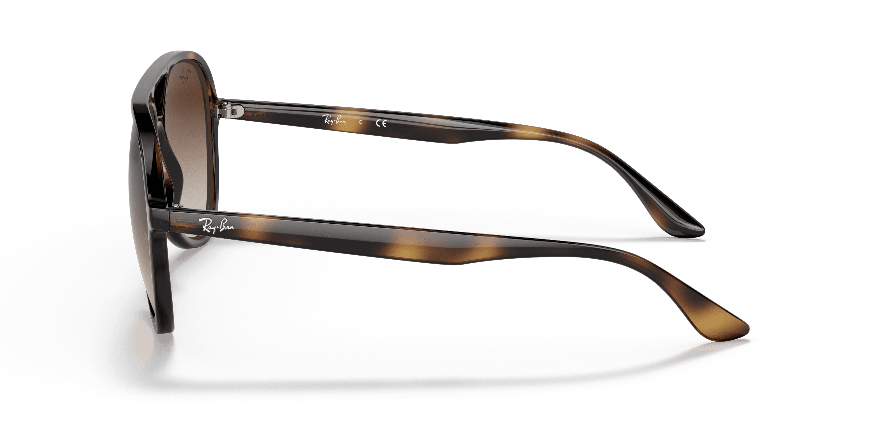 Ray-Ban 0RB4376 Güneş Gözlüğü 2