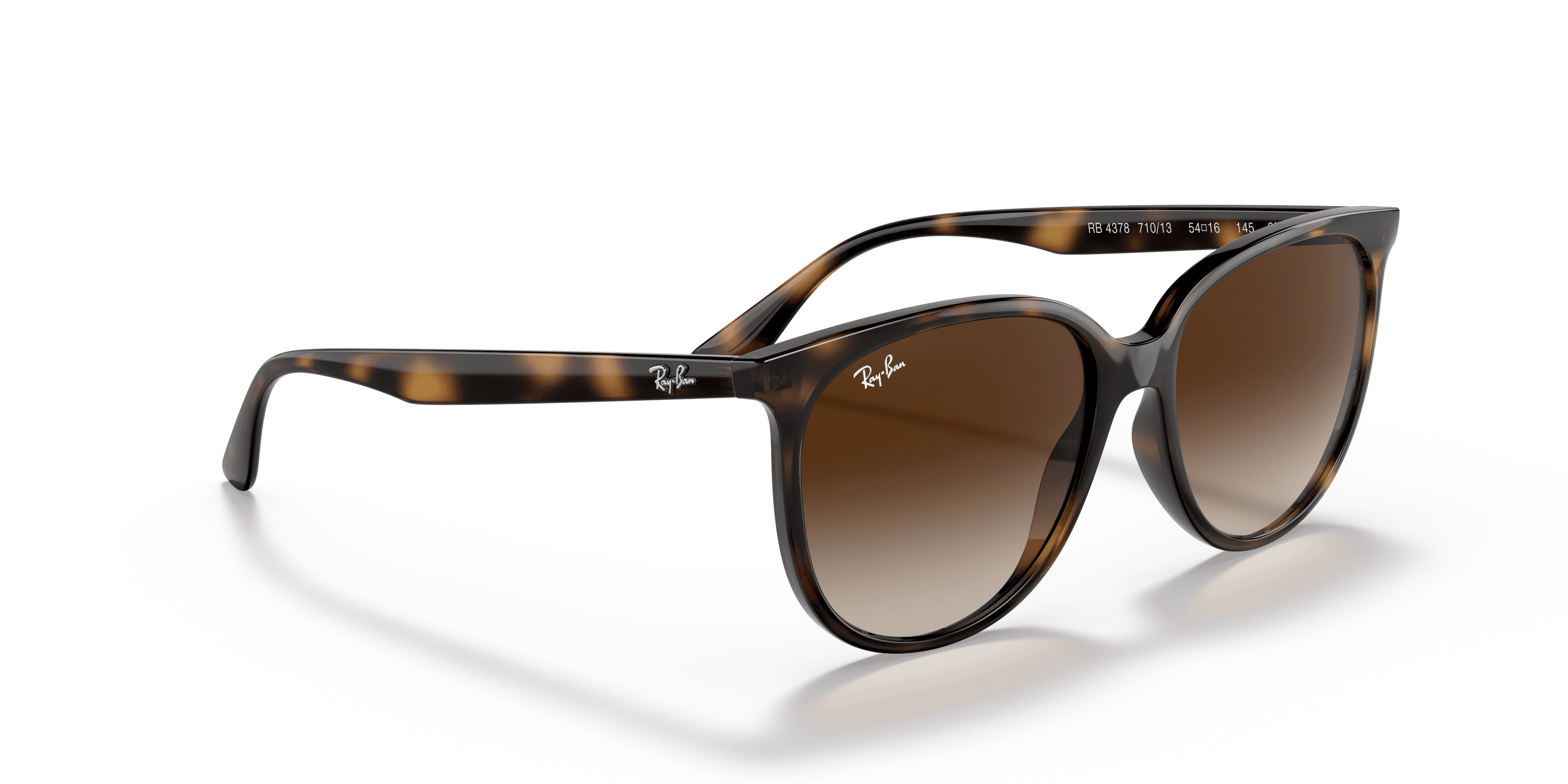Ray-Ban 0RB4378 Güneş Gözlüğü 4