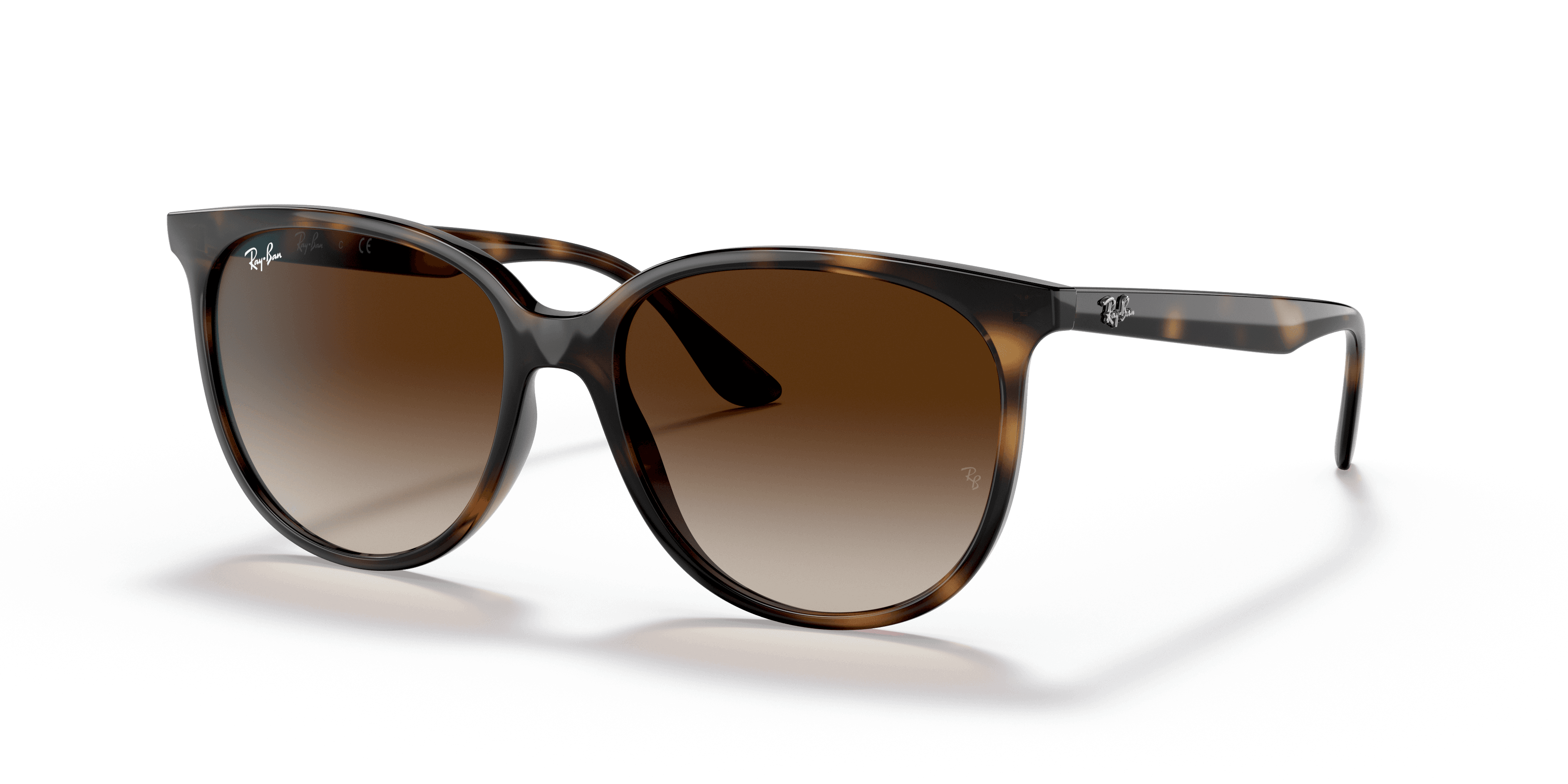 Ray-Ban 0RB4378 Güneş Gözlüğü