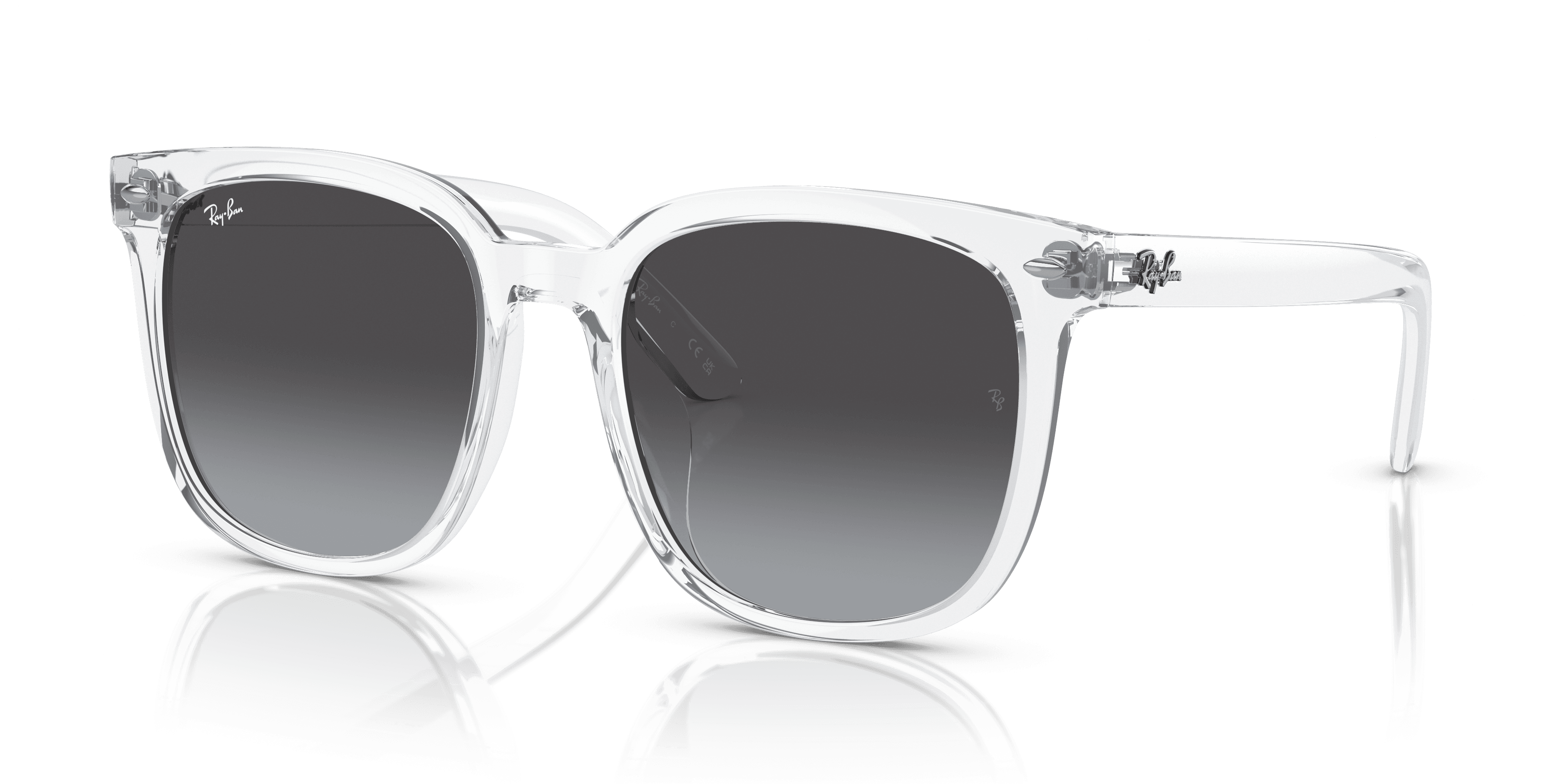 Ray-Ban 0RB4401D Güneş Gözlüğü