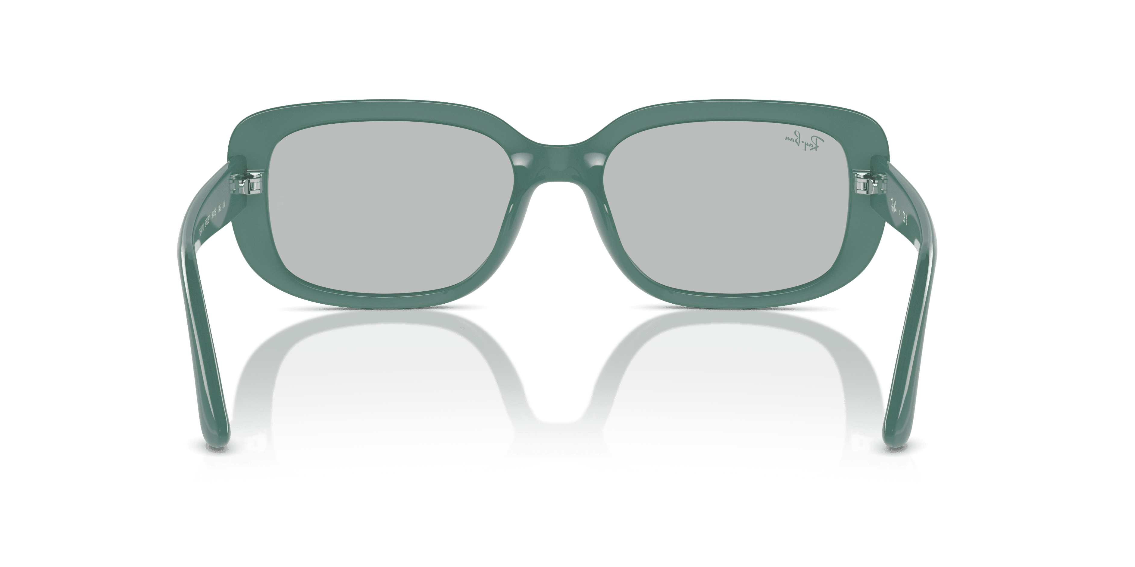 Ray-Ban 0RB4421D Güneş Gözlüğü 3