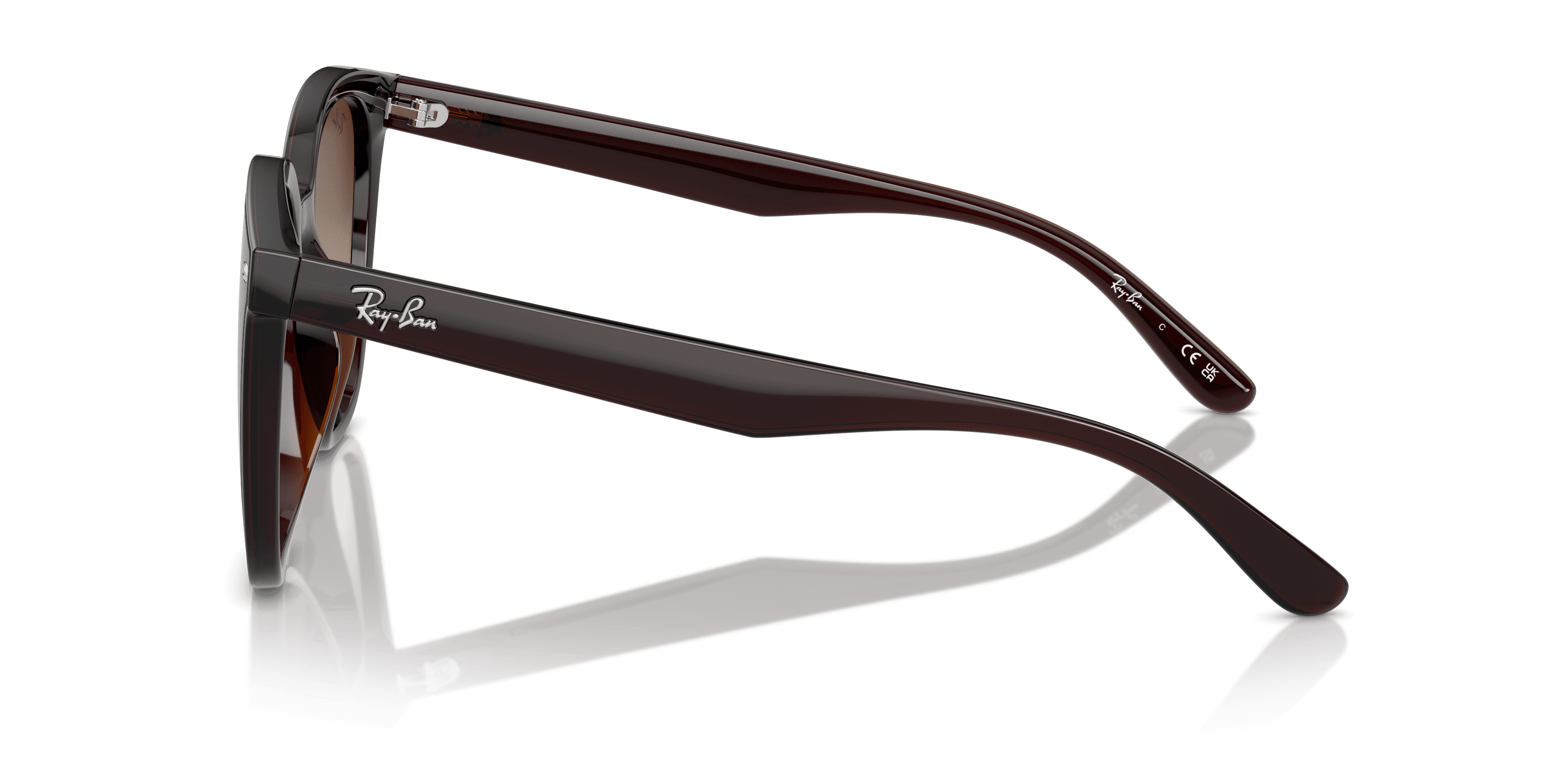 Ray-Ban 0RB4423D Güneş Gözlüğü 2