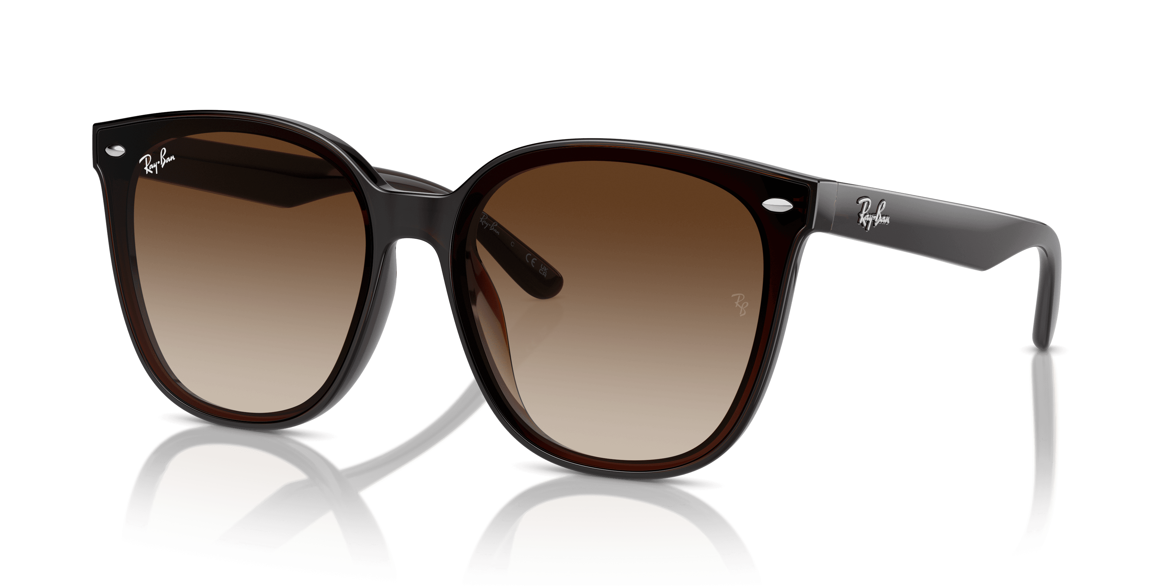 Ray-Ban 0RB4423D Güneş Gözlüğü