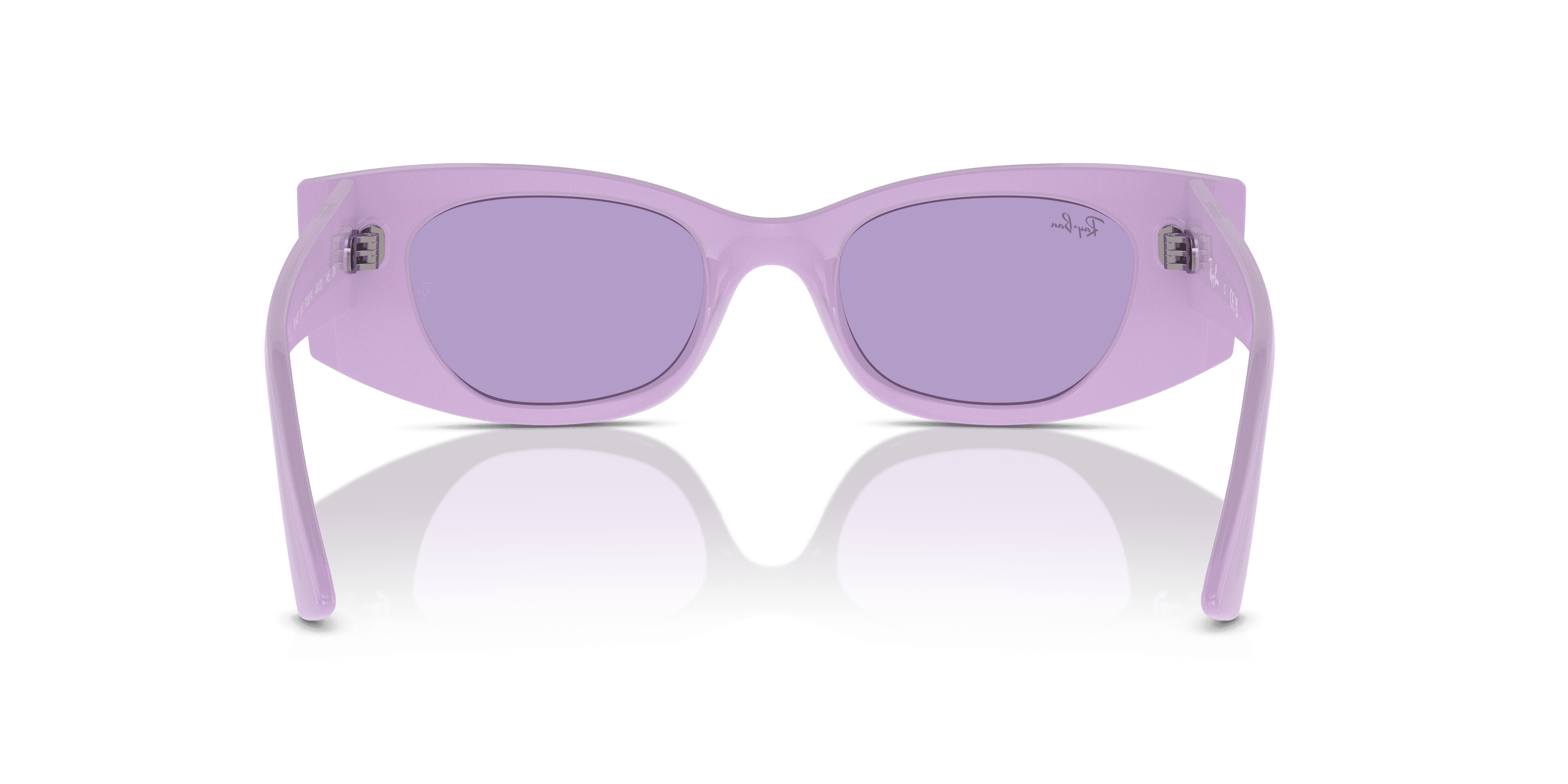 Ray-Ban 0RB4427 Güneş Gözlüğü 3