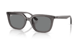 Ray-Ban 0RB4439D Güneş Gözlüğü