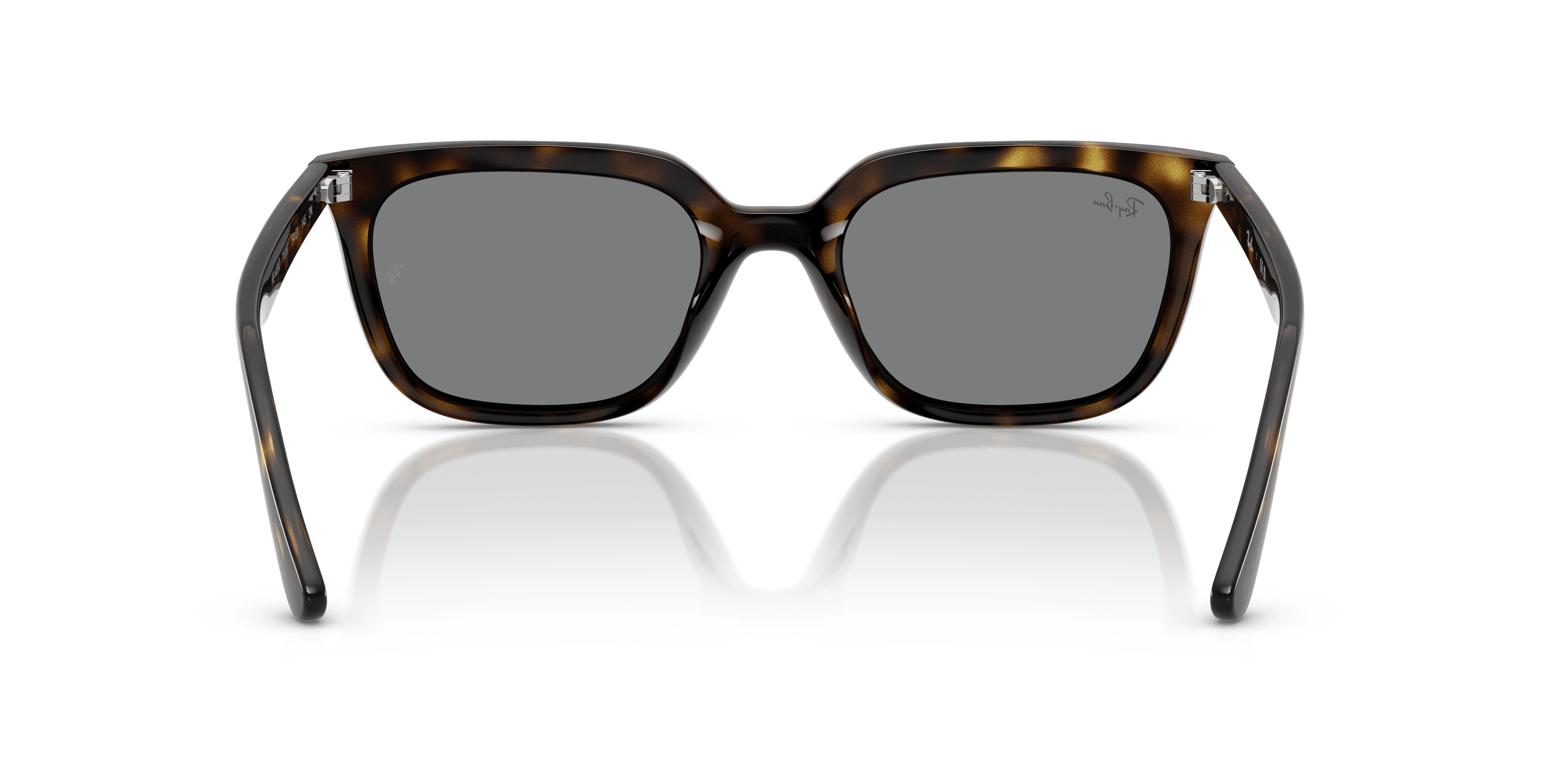 Ray-Ban 0RB4439D Güneş Gözlüğü 3