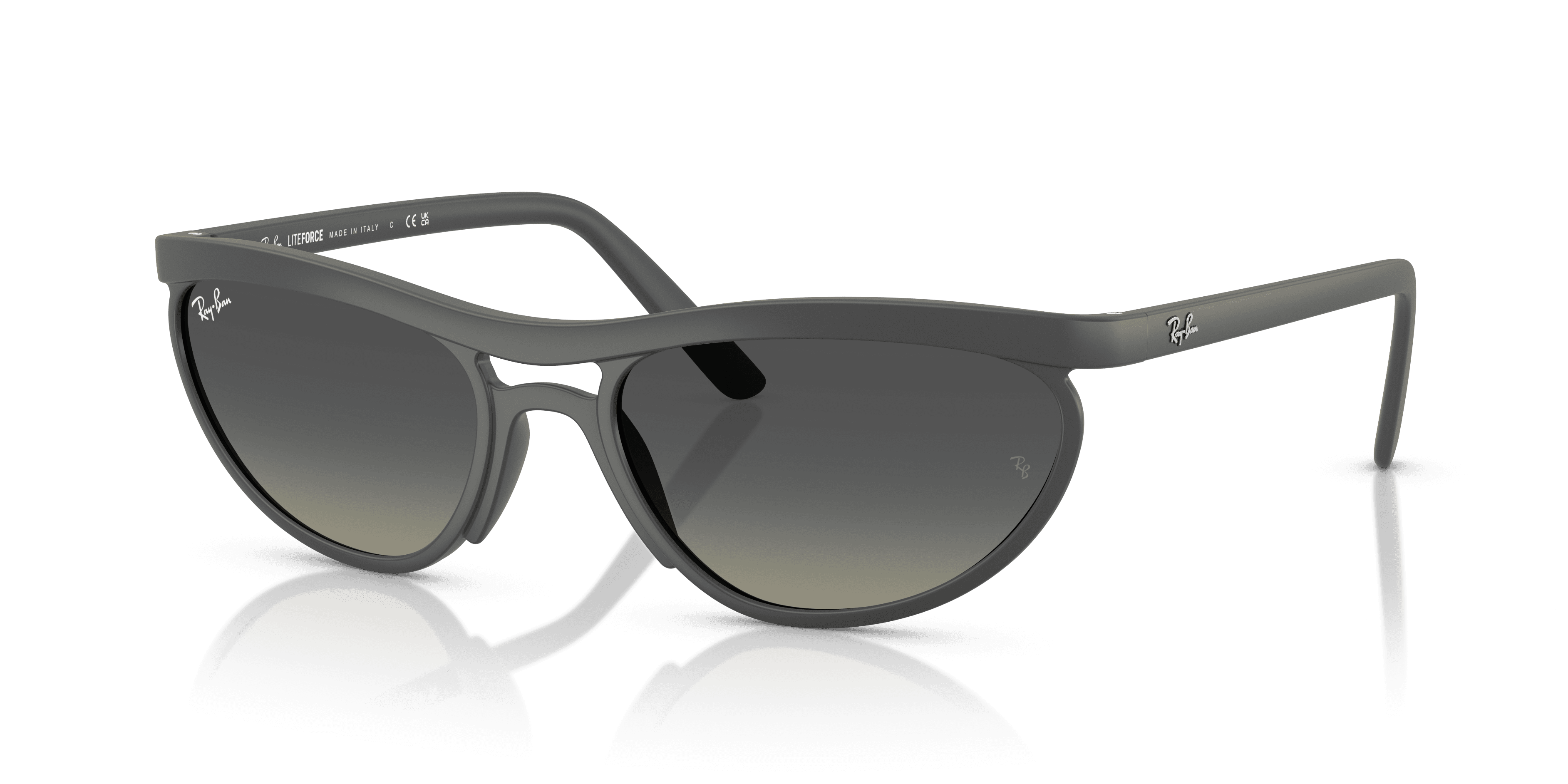 Ray-Ban 0RB4453 Güneş Gözlüğü