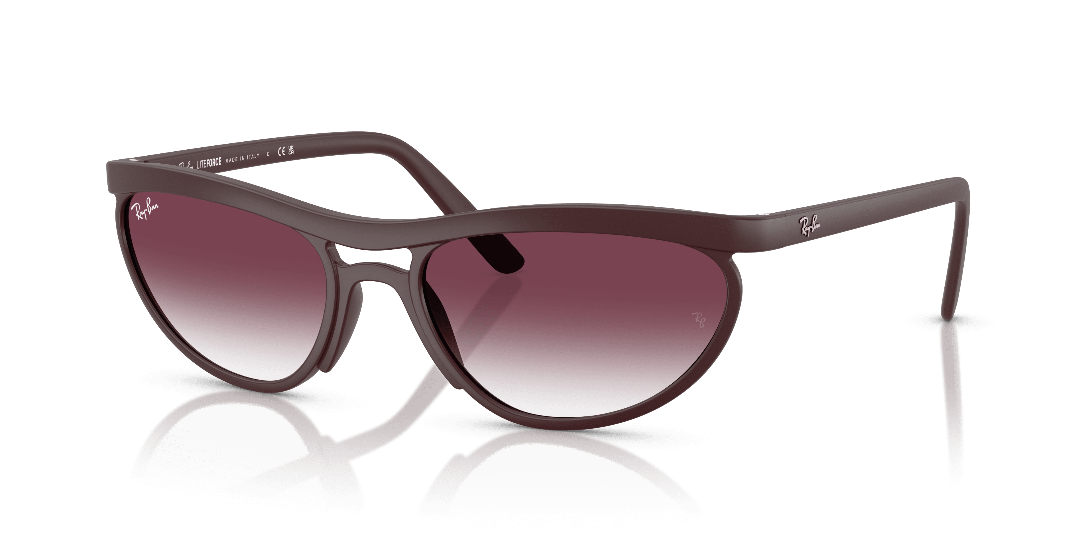 Ray-Ban 0RB4453 Güneş Gözlüğü