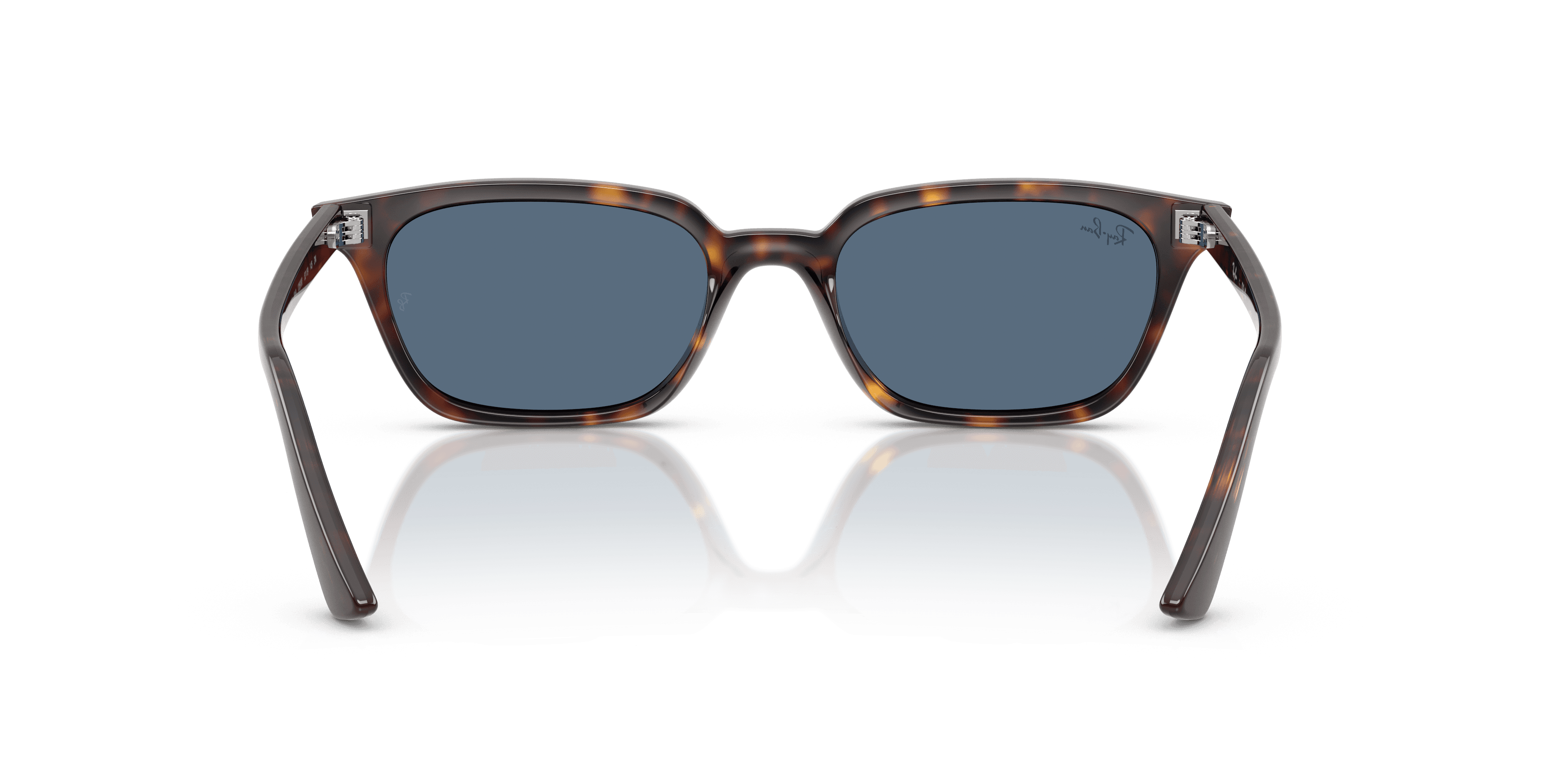 Ray-Ban 0RB4456 Güneş Gözlüğü 3