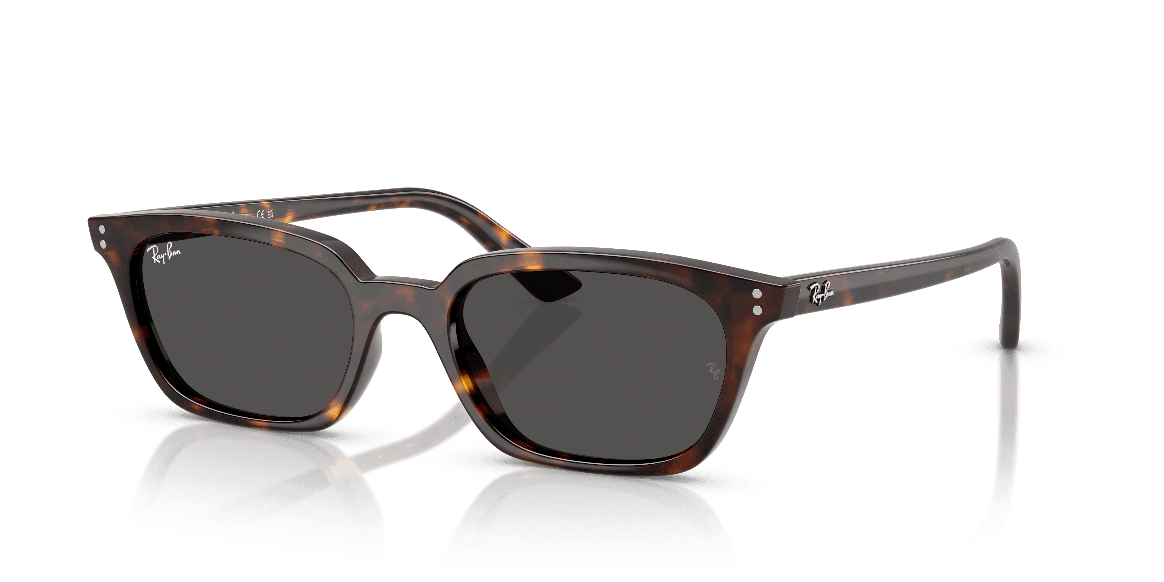 Ray-Ban 0RB4456 Güneş Gözlüğü
