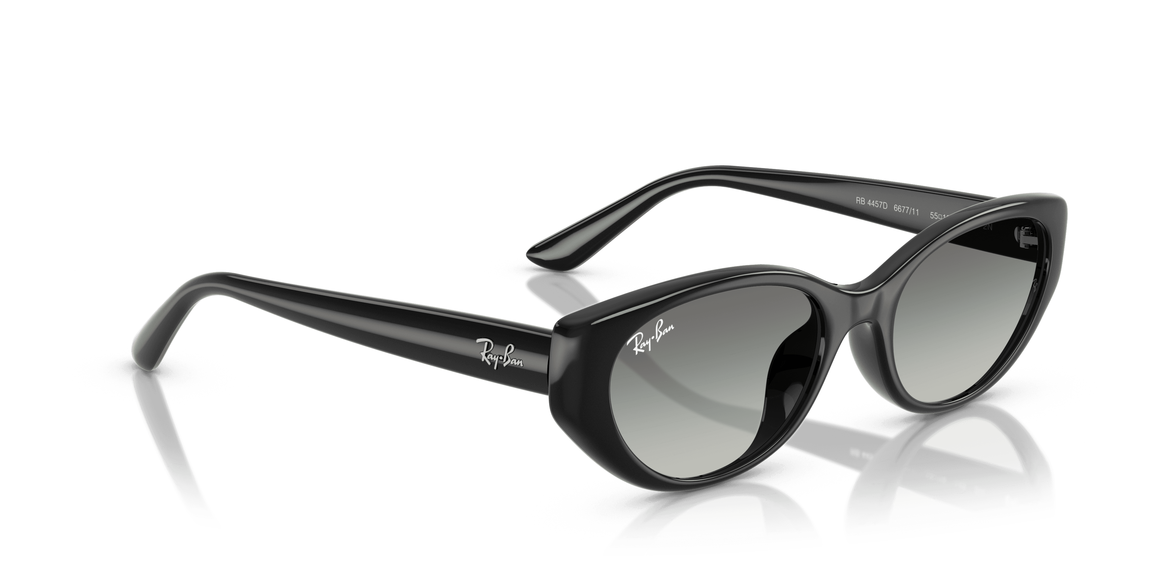 Ray-Ban 0RB4457D Güneş Gözlüğü 4