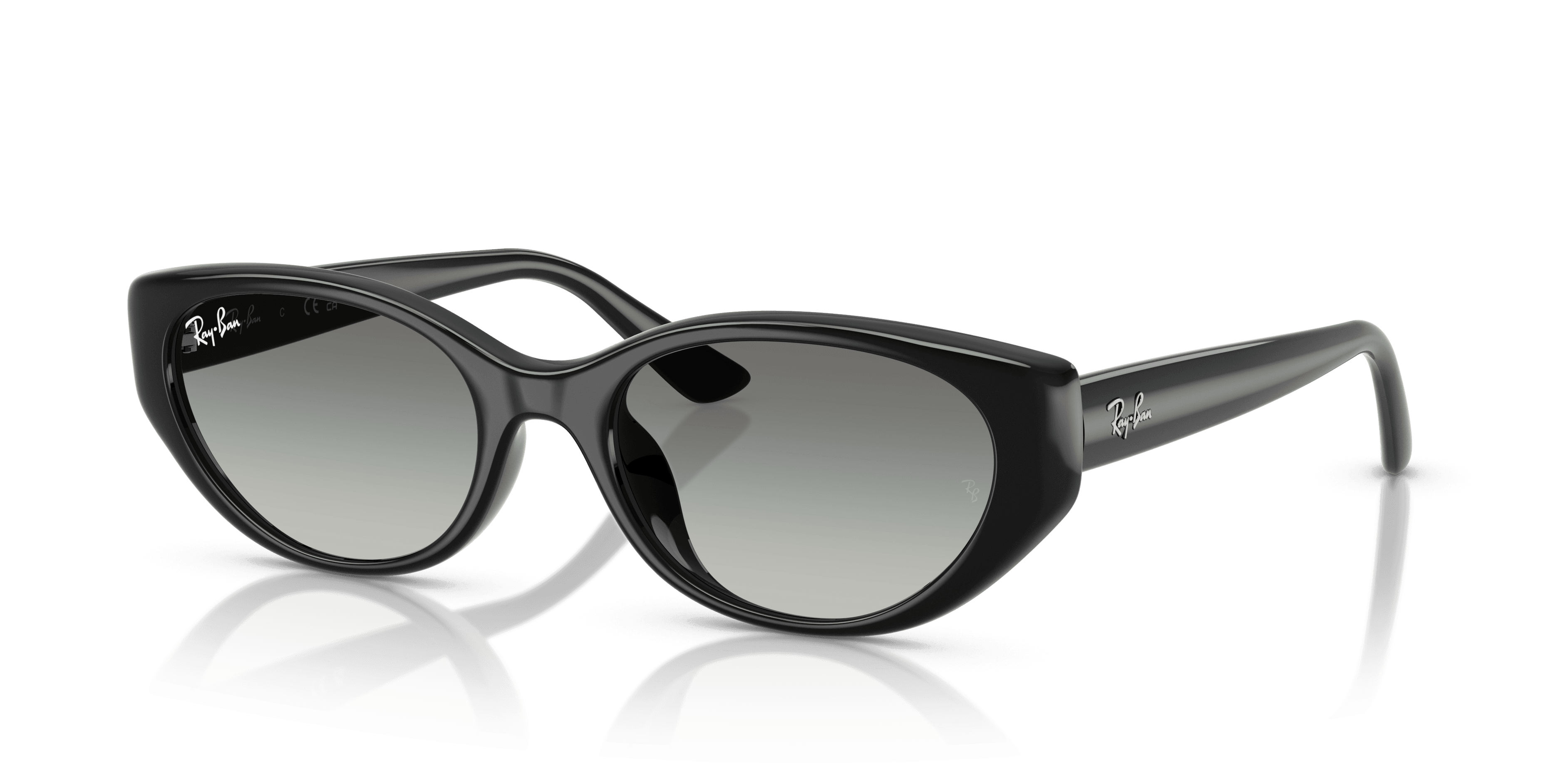 Ray-Ban 0RB4457D Güneş Gözlüğü