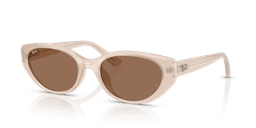 Ray-Ban 0RB4457D Güneş Gözlüğü