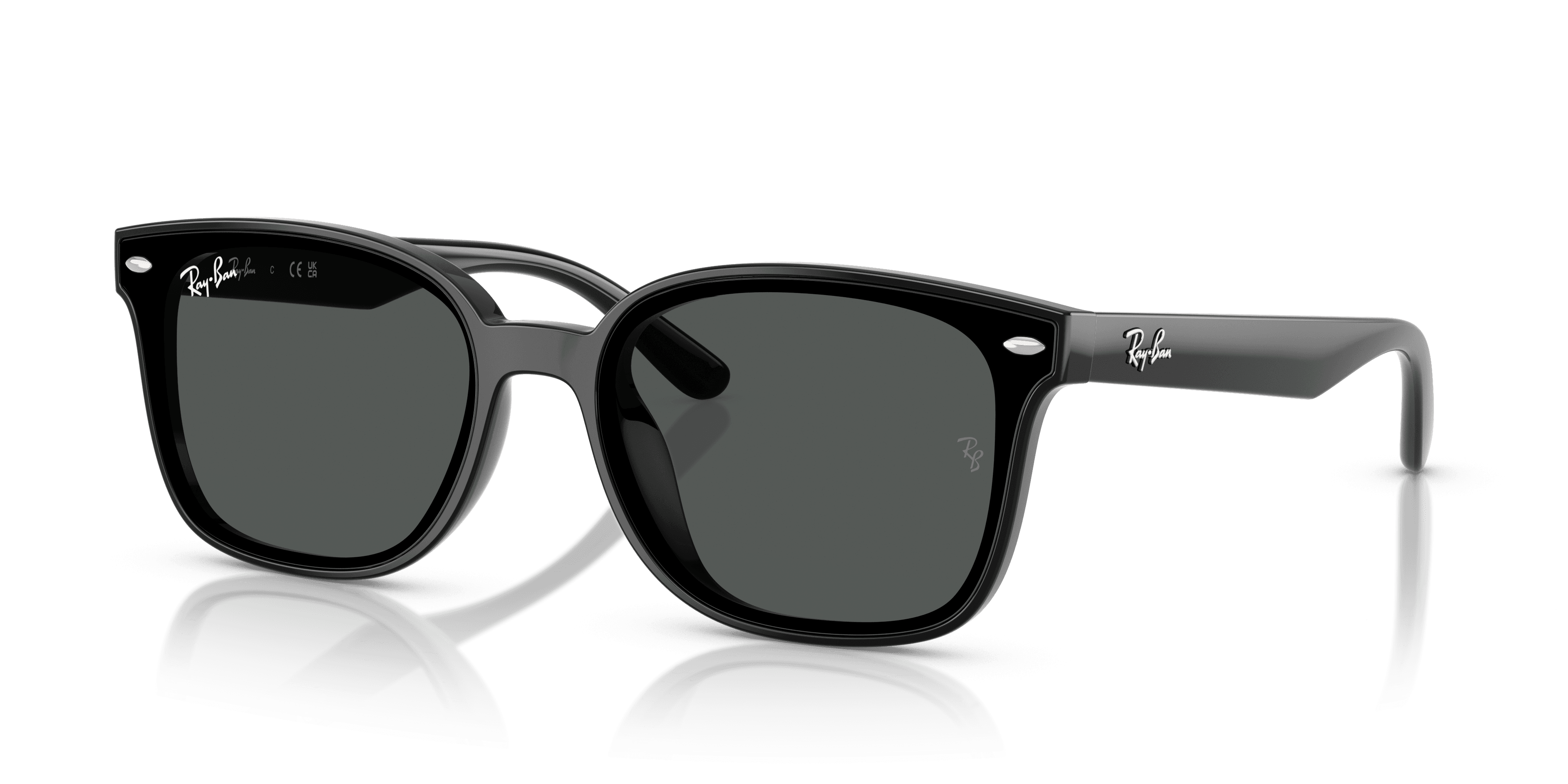 Ray-Ban 0RB4461D Güneş Gözlüğü