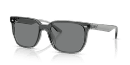 Ray-Ban 0RB4466D Güneş Gözlüğü