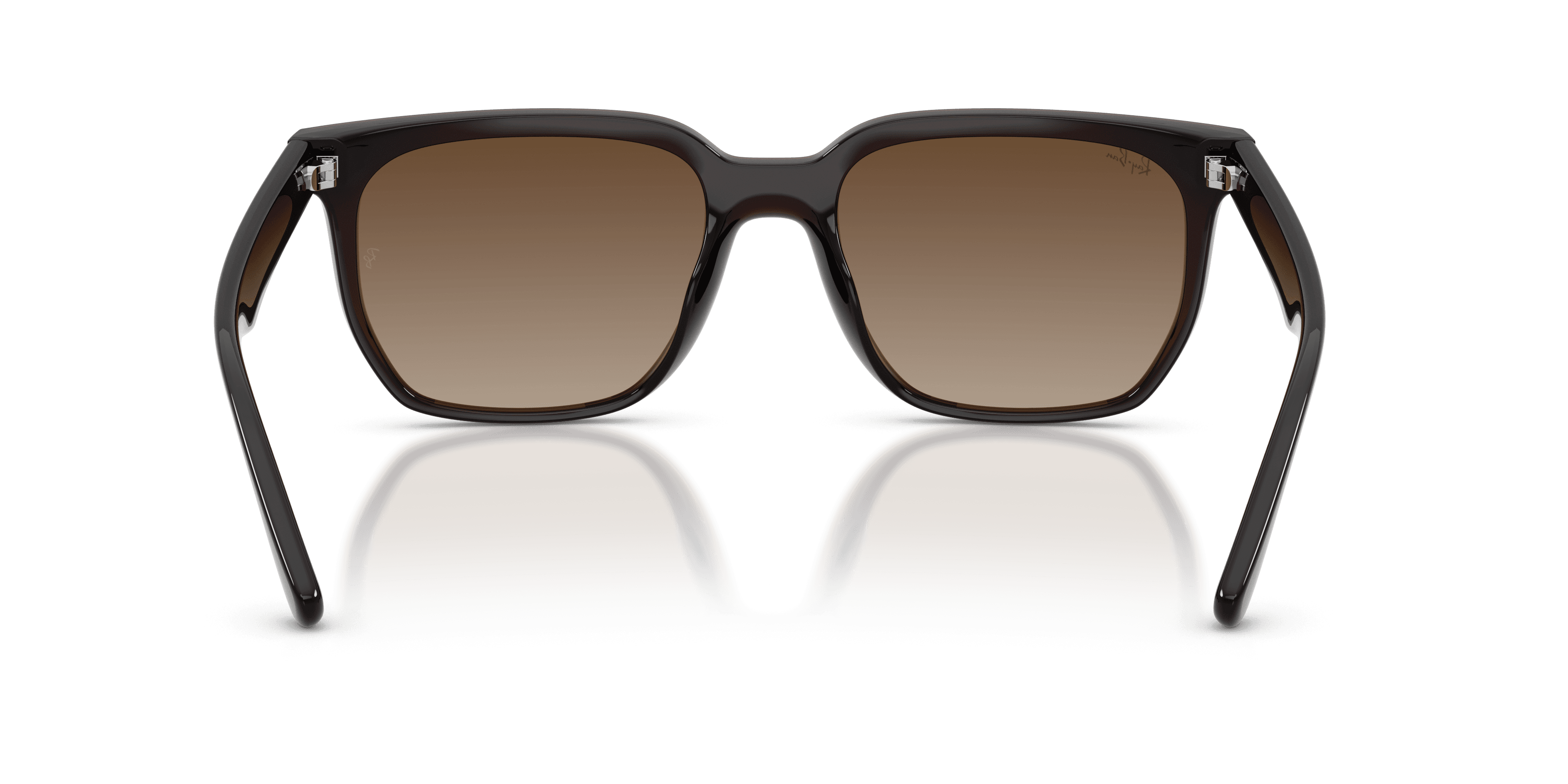 Ray-Ban 0RB4466D Güneş Gözlüğü 3