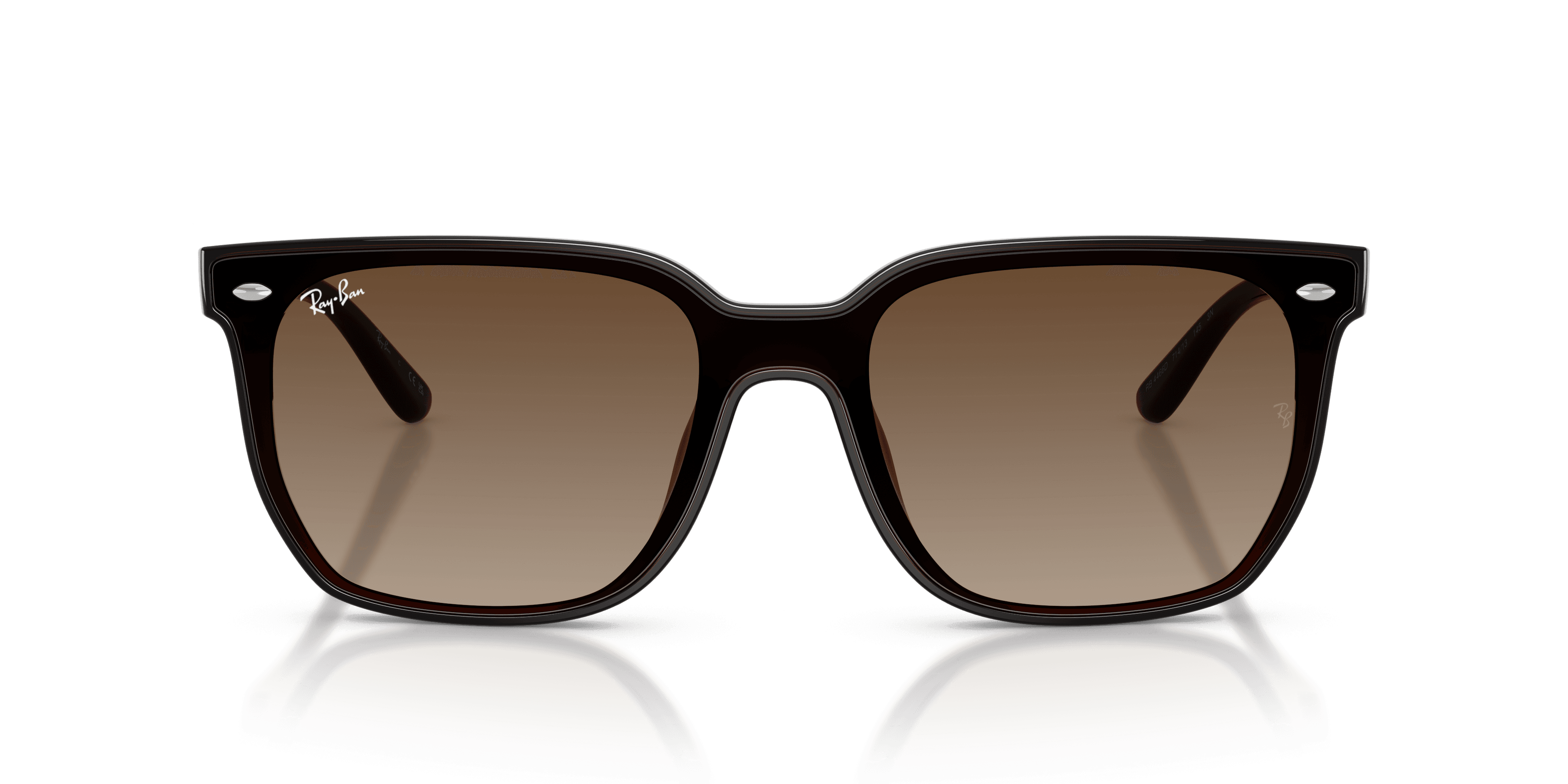Ray-Ban 0RB4466D Güneş Gözlüğü 5