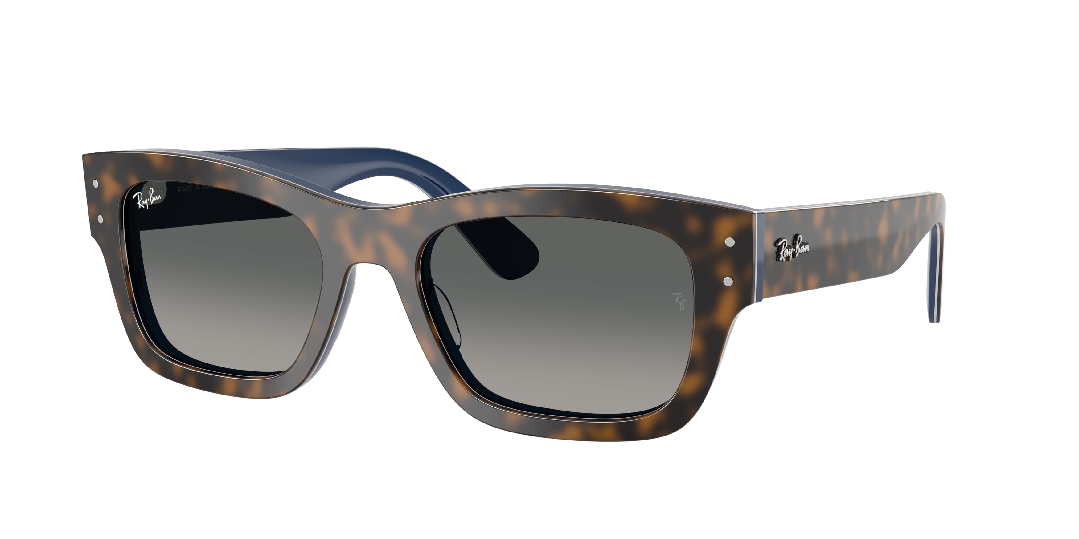Ray-ban 0RB7683S gözlük