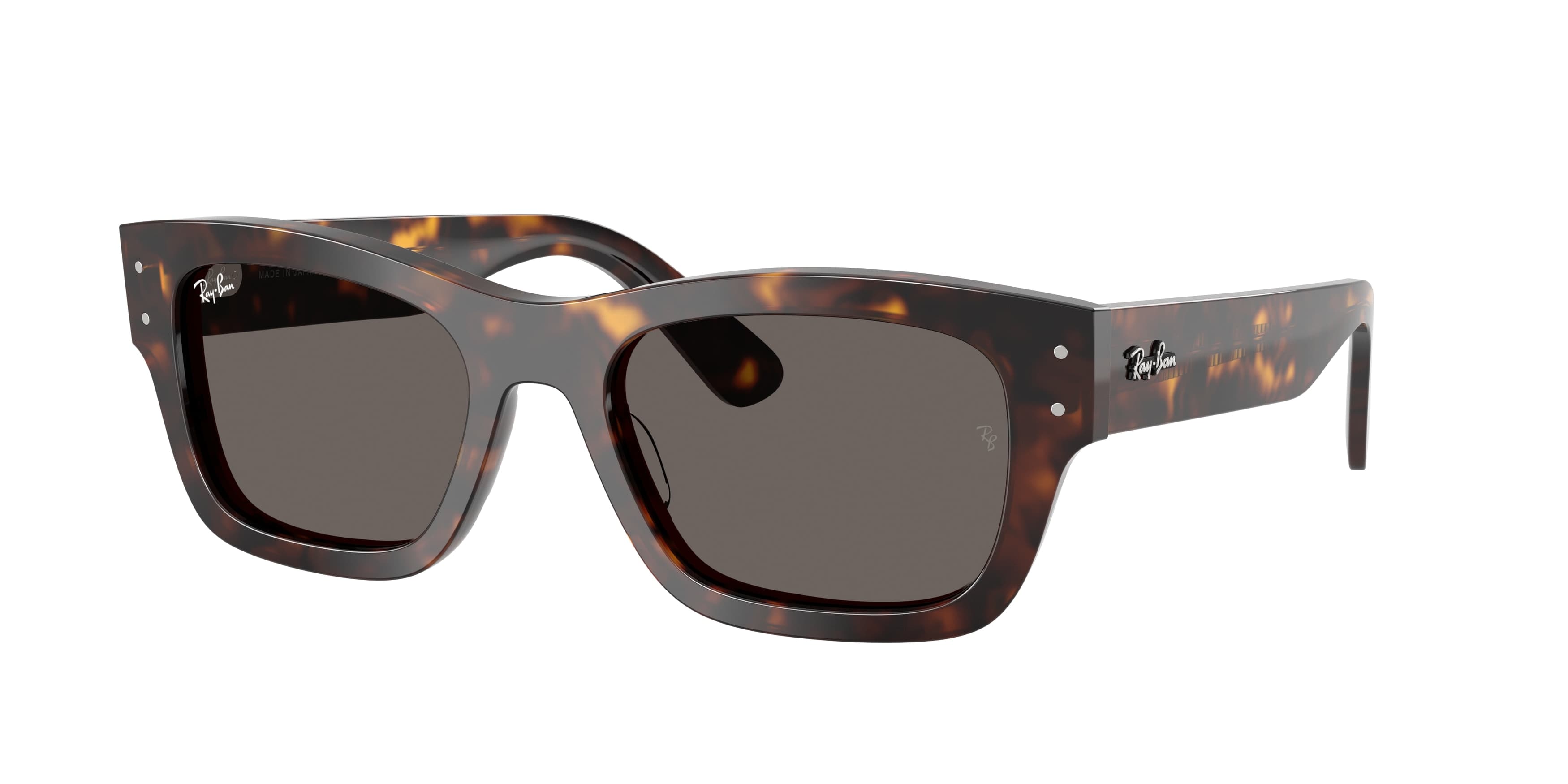 Ray-Ban 0RB7683S Güneş Gözlüğü