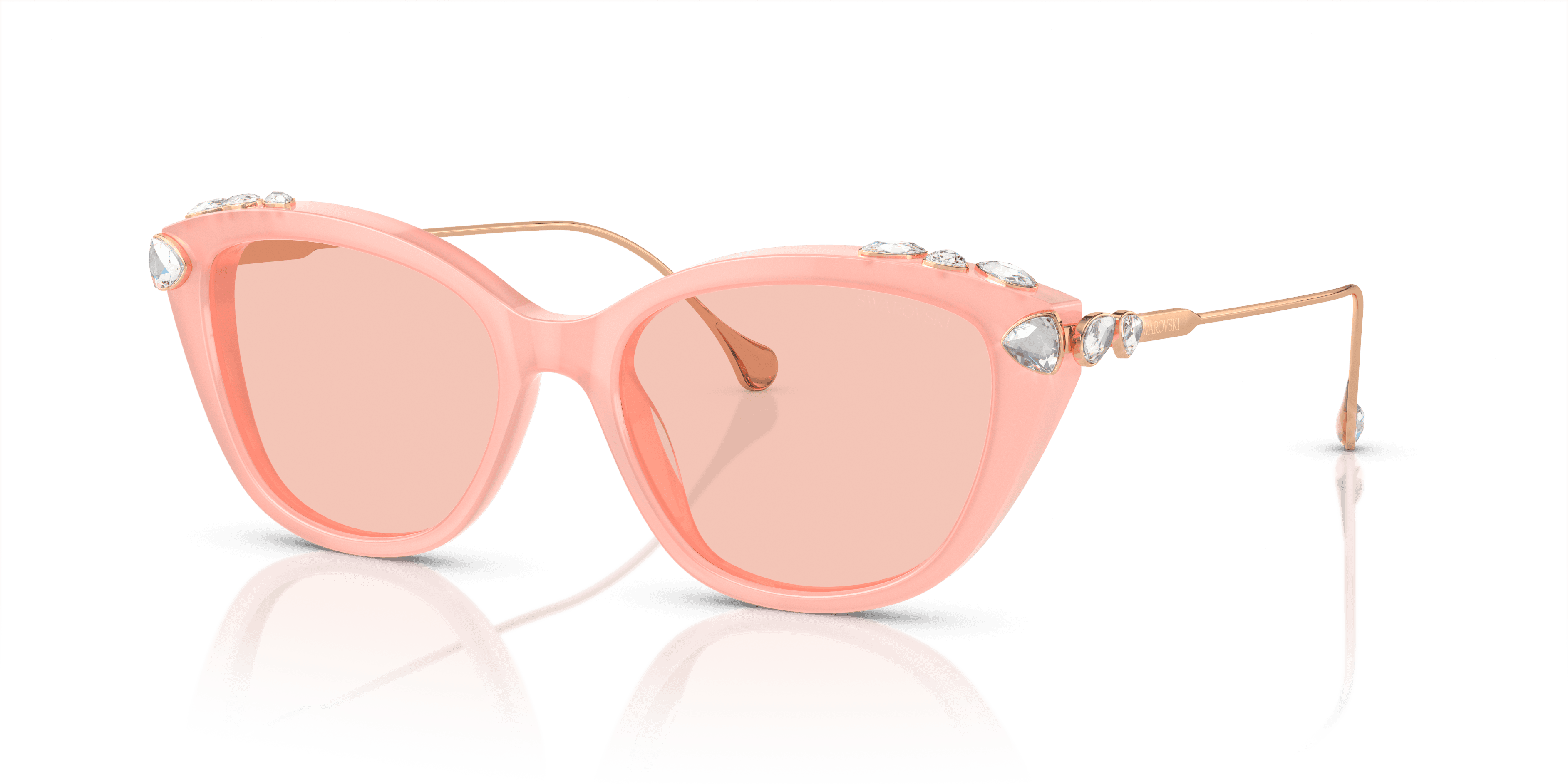 Swarovski 0SK6010 Güneş Gözlüğü