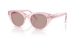 Swarovski 0SK6025 Güneş Gözlüğü