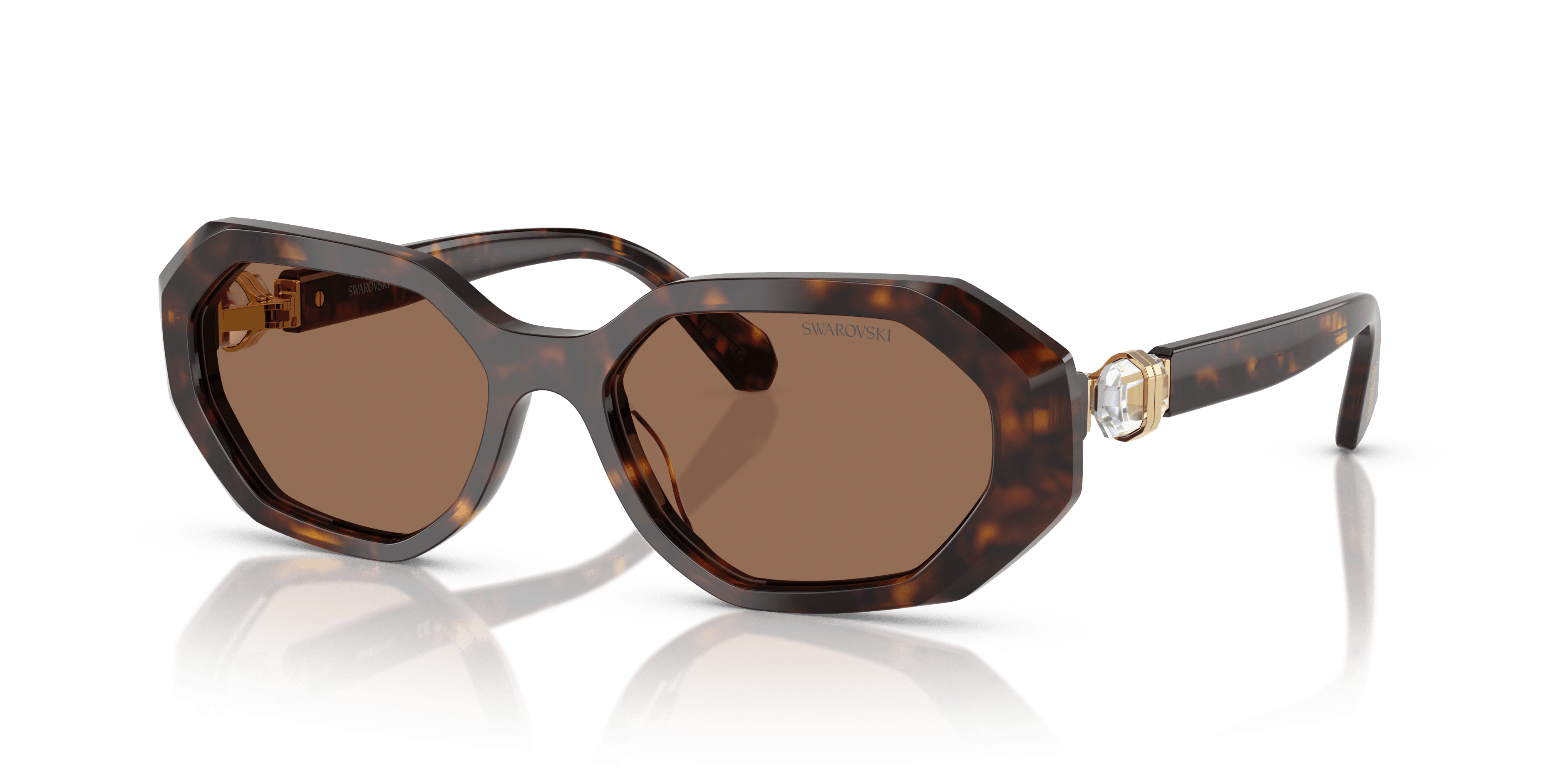 Swarovski 0SK6028 Güneş Gözlüğü
