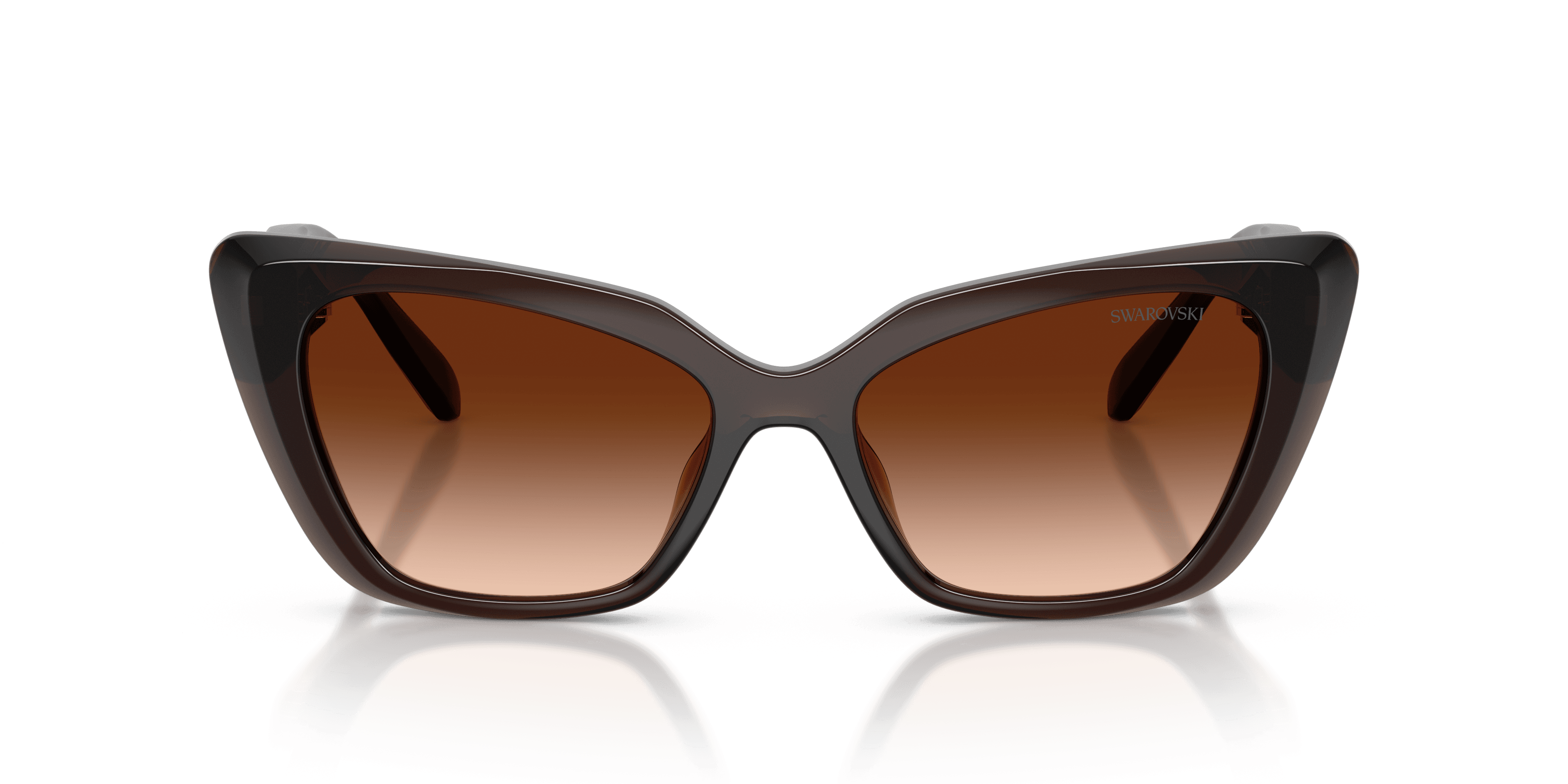 Swarovski 0SK6047 Güneş Gözlüğü 4