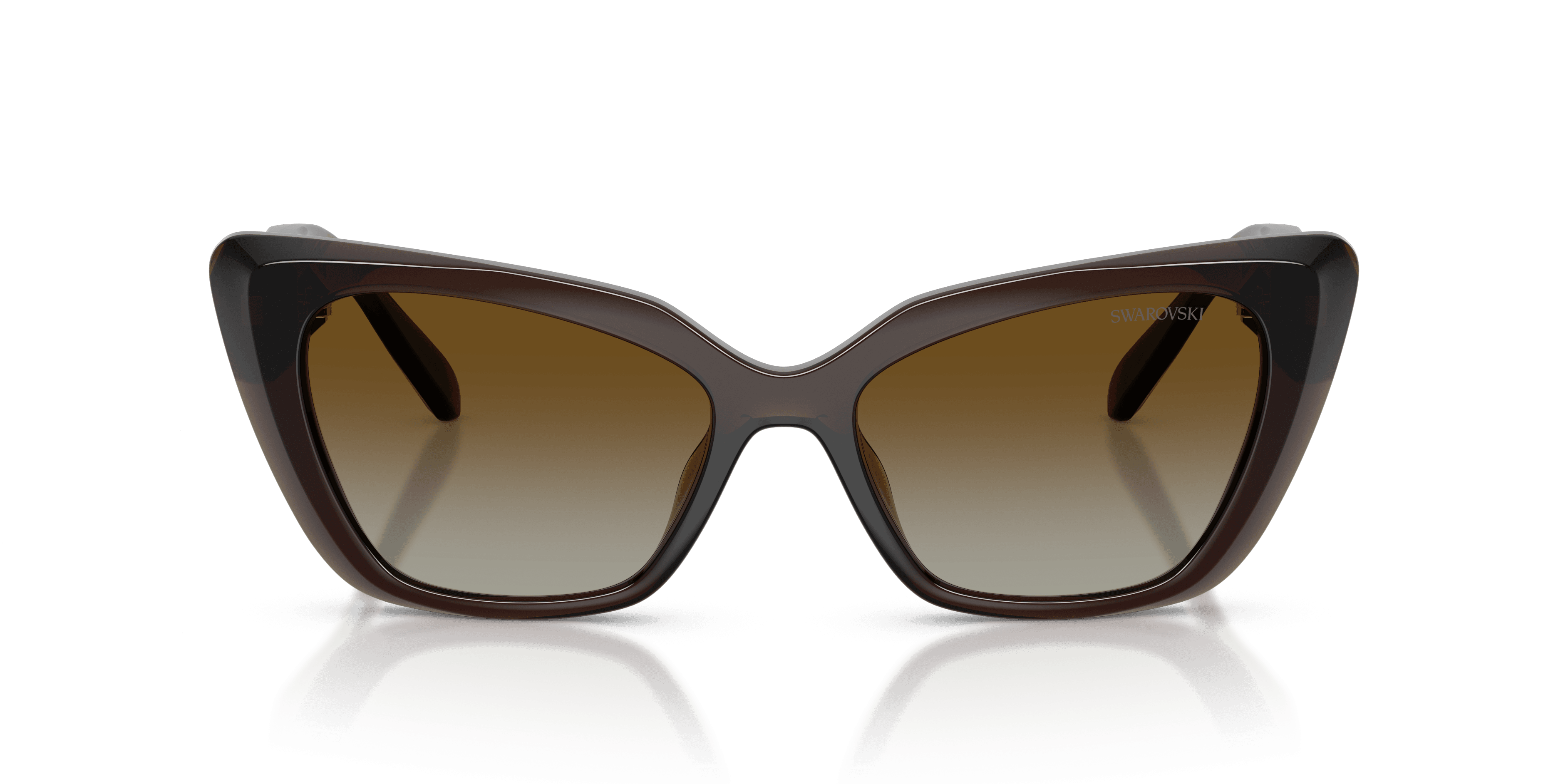 Swarovski 0SK6047 Güneş Gözlüğü 4