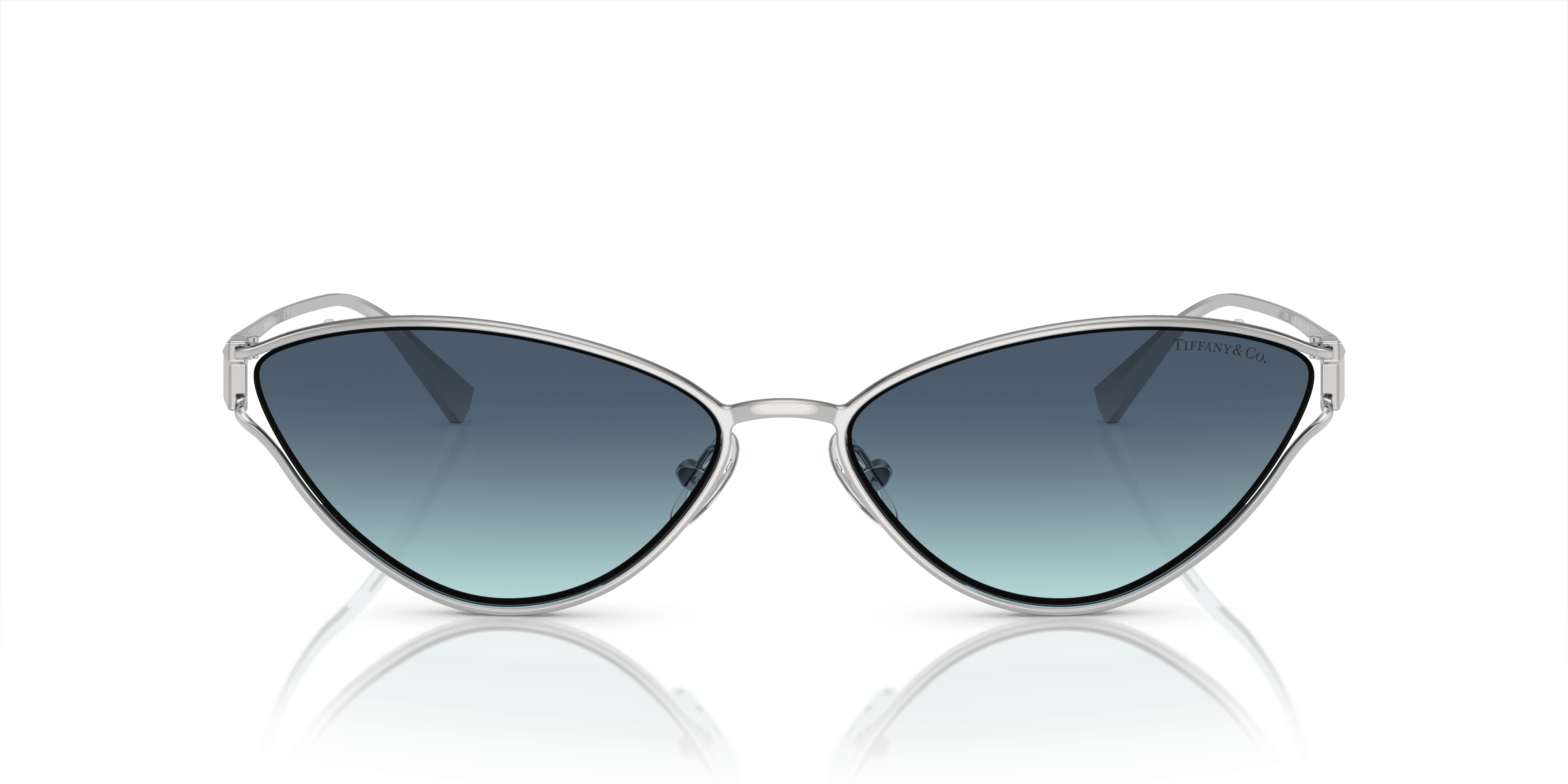 Tiffany & Co. 0TF3095 Güneş Gözlüğü 4