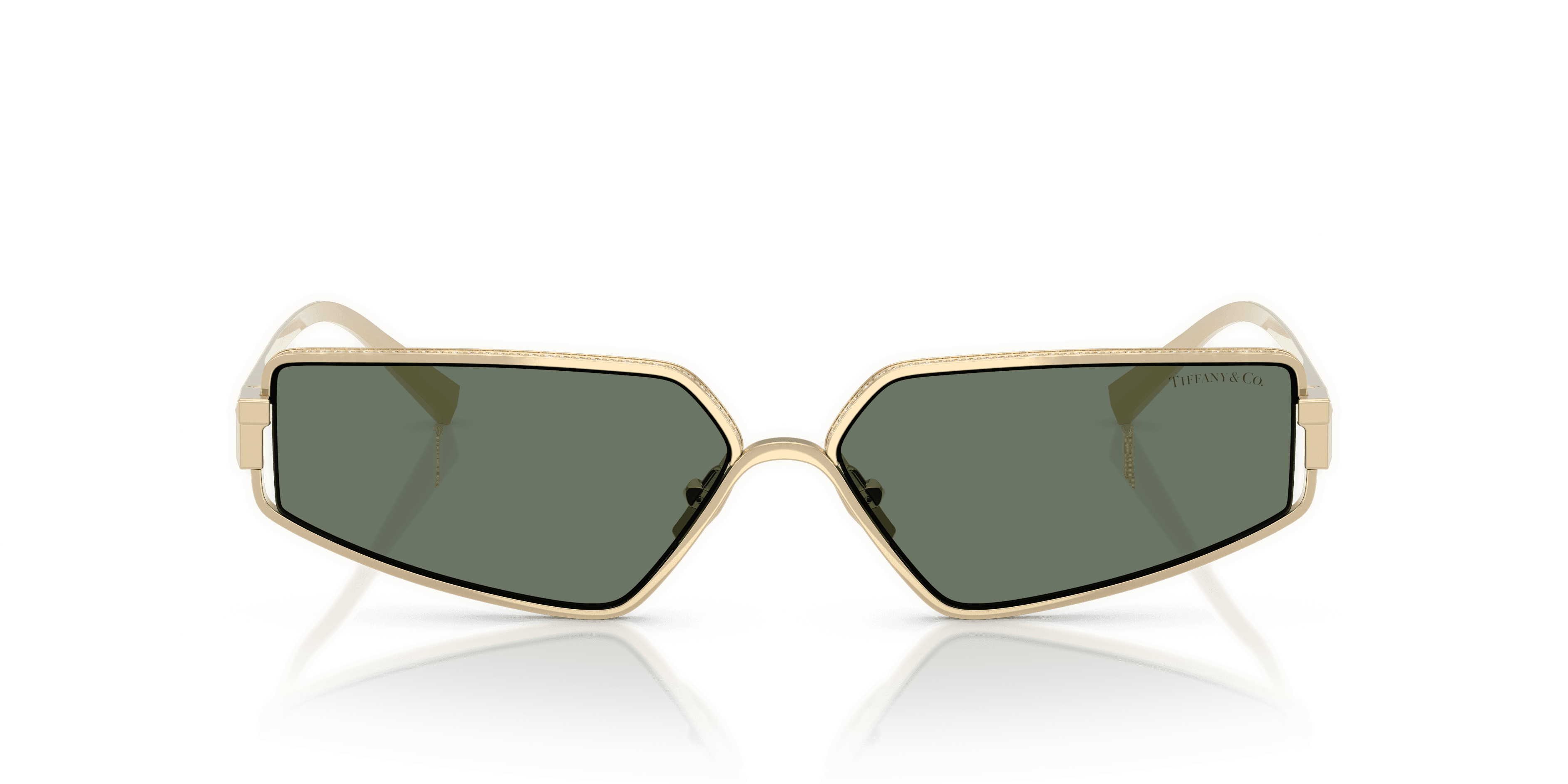 Tiffany & Co. 0TF3113KB Güneş Gözlüğü 4