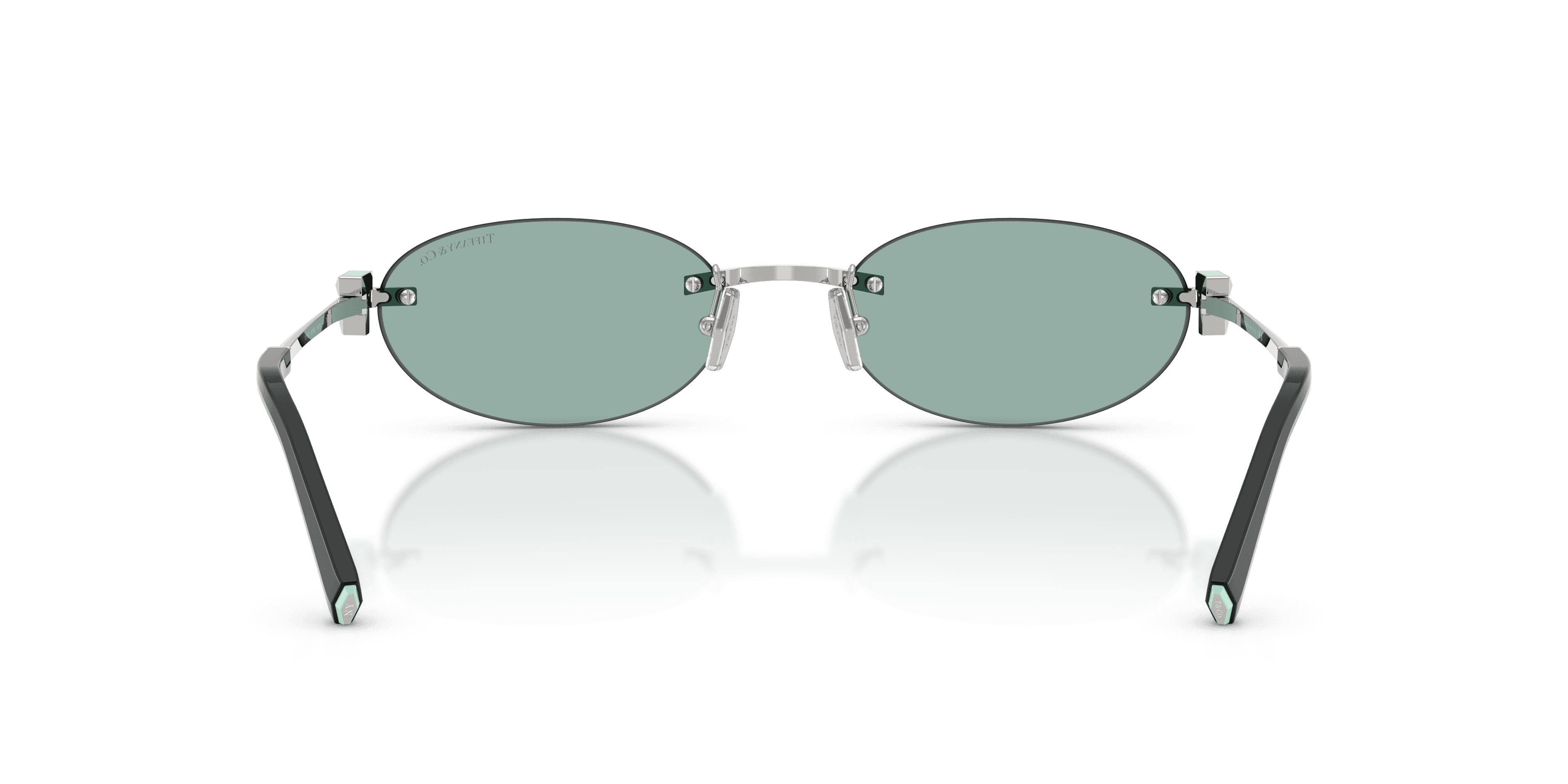 Tiffany & Co. 0TF3119D Güneş Gözlüğü 3