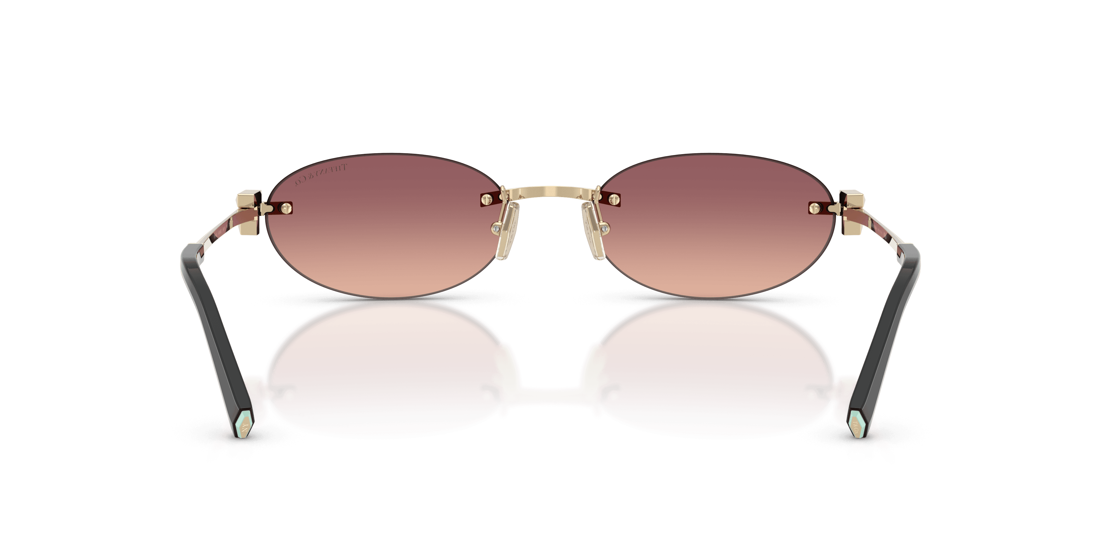 Tiffany & Co. 0TF3119D Güneş Gözlüğü 3