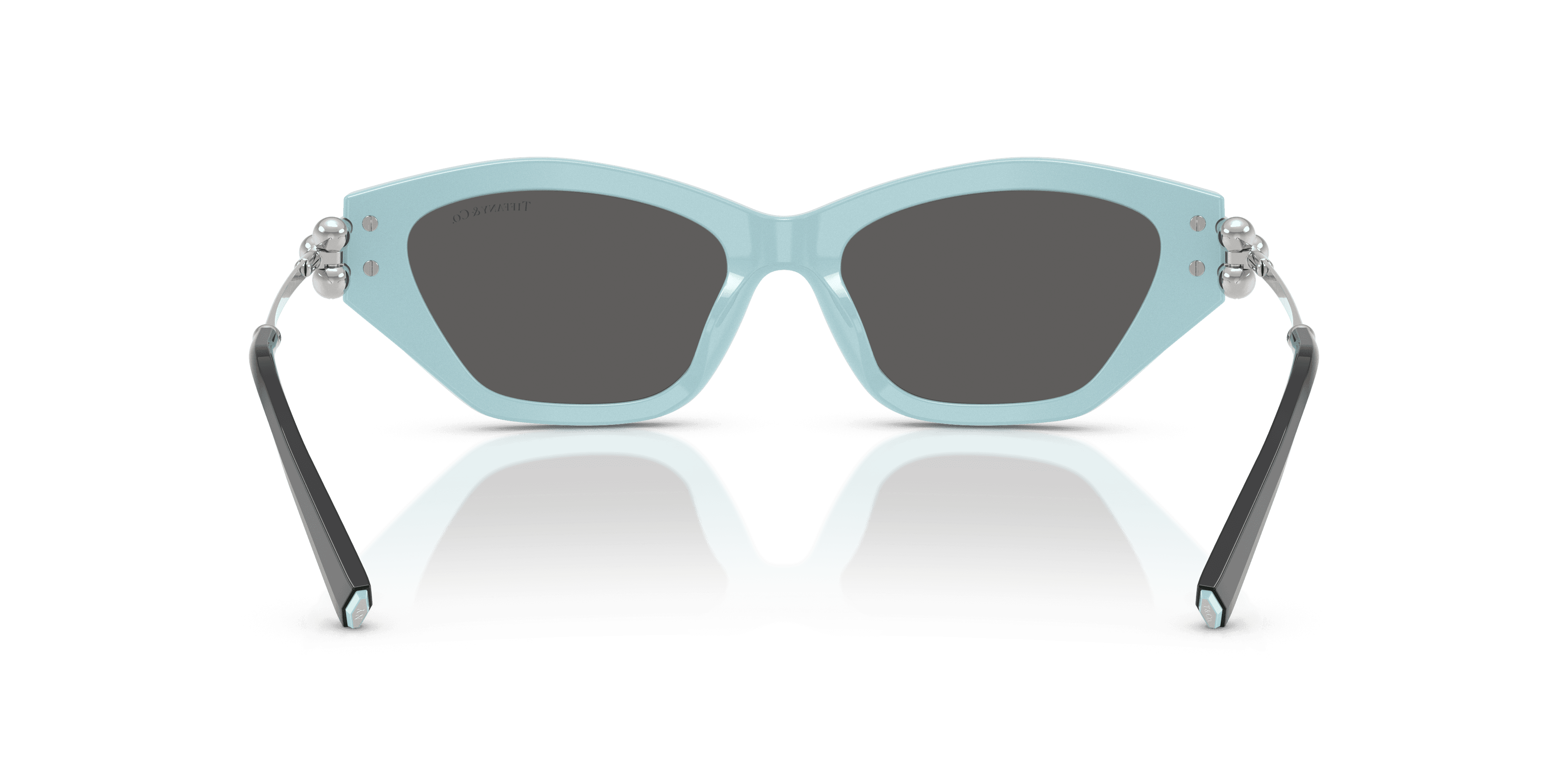 Tiffany & Co. 0TF4231U Güneş Gözlüğü 3