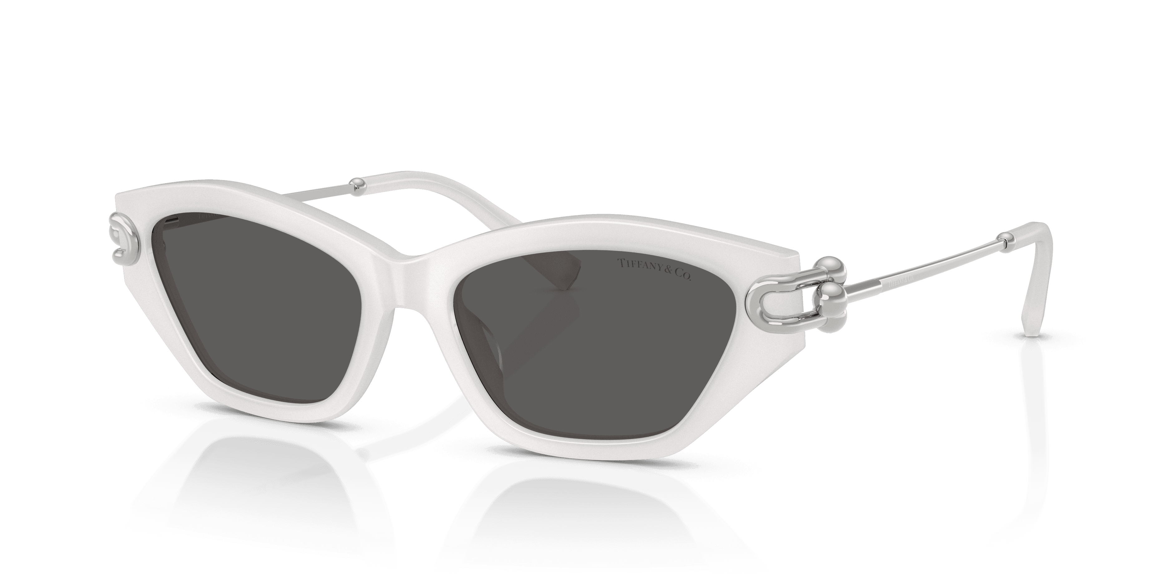 Tiffany & Co. 0TF4231U Güneş Gözlüğü