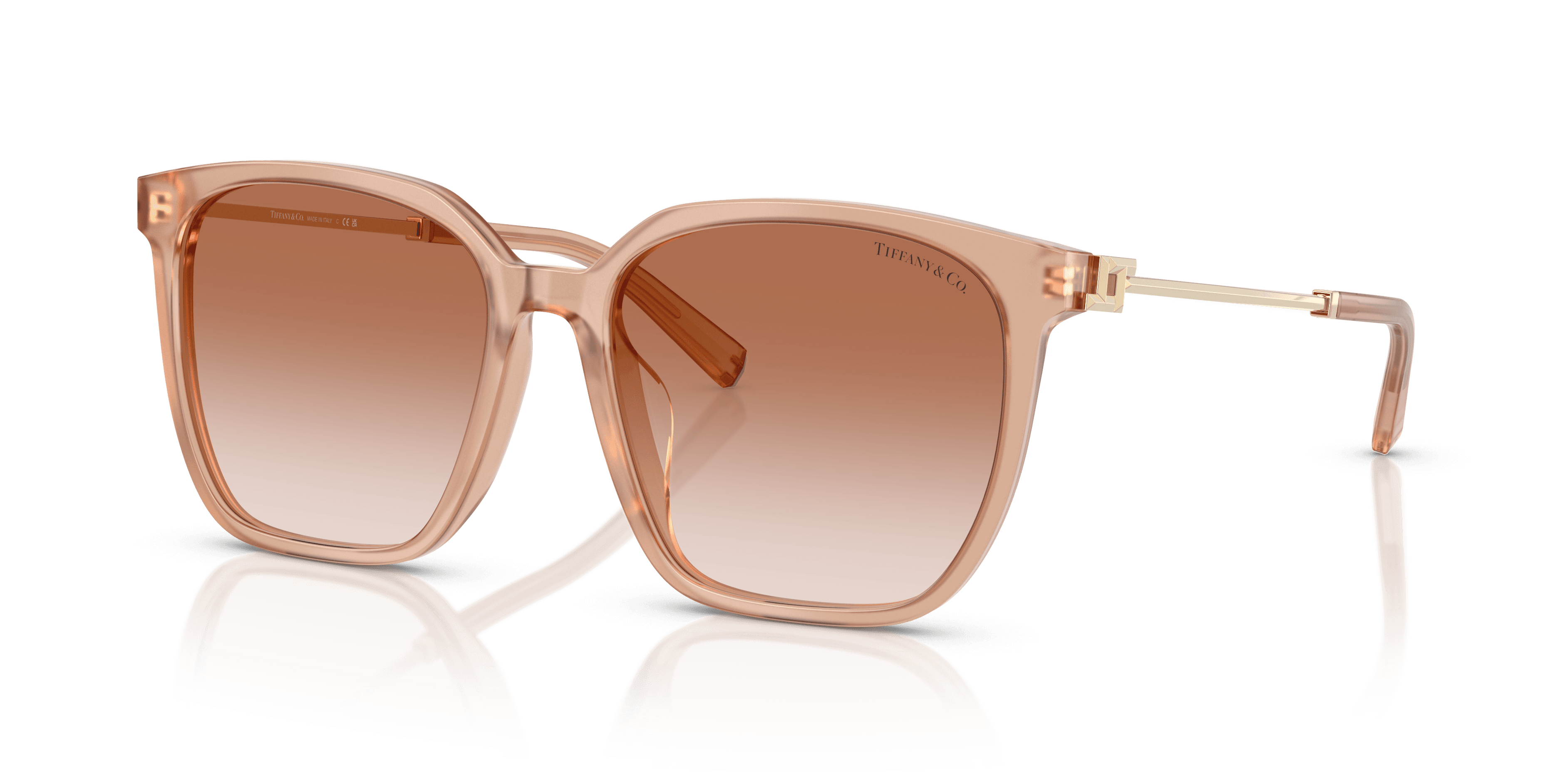 Tiffany & Co. 0TF4244D Güneş Gözlüğü