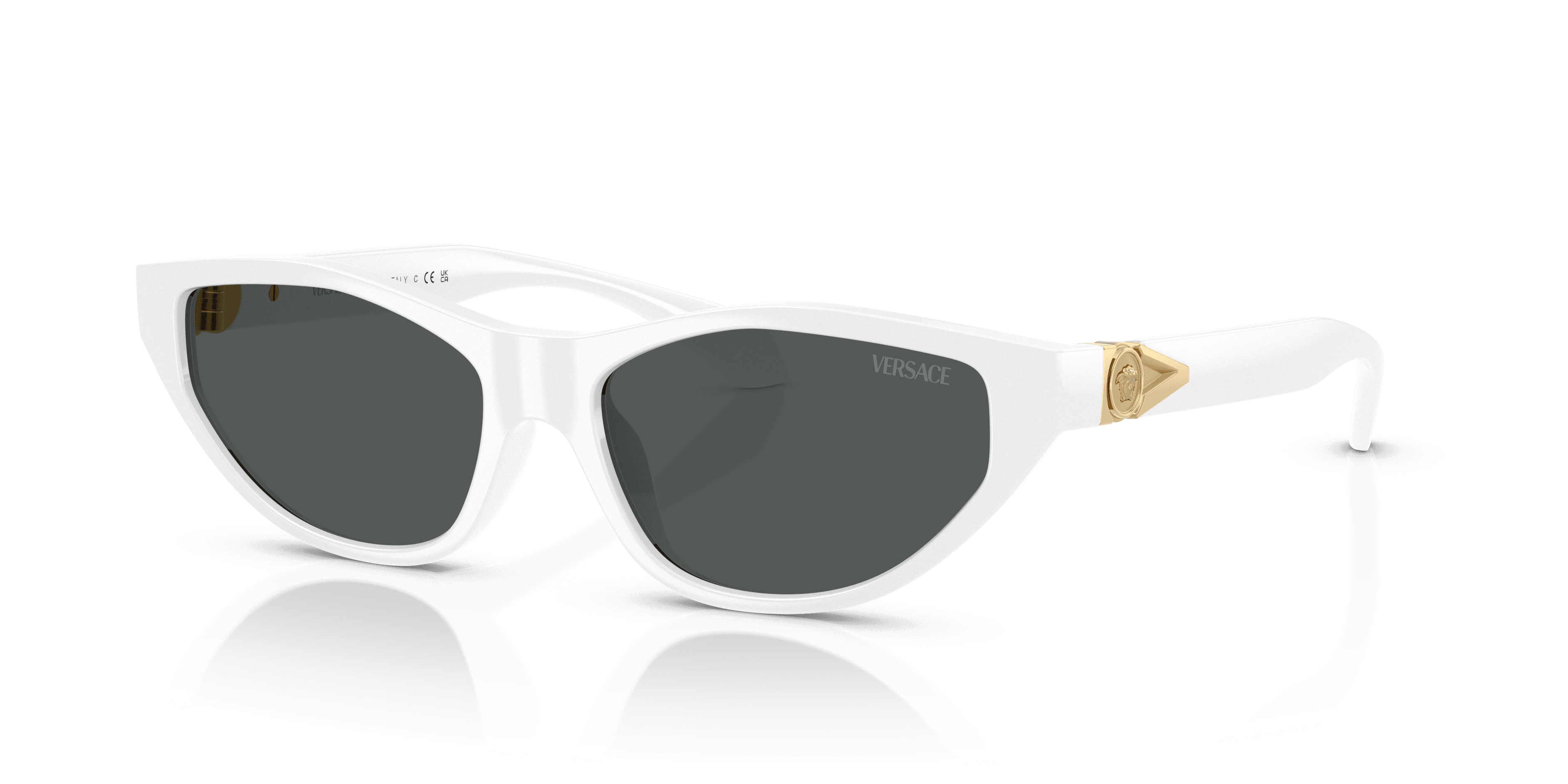 Versace 0VE4491U Güneş Gözlüğü