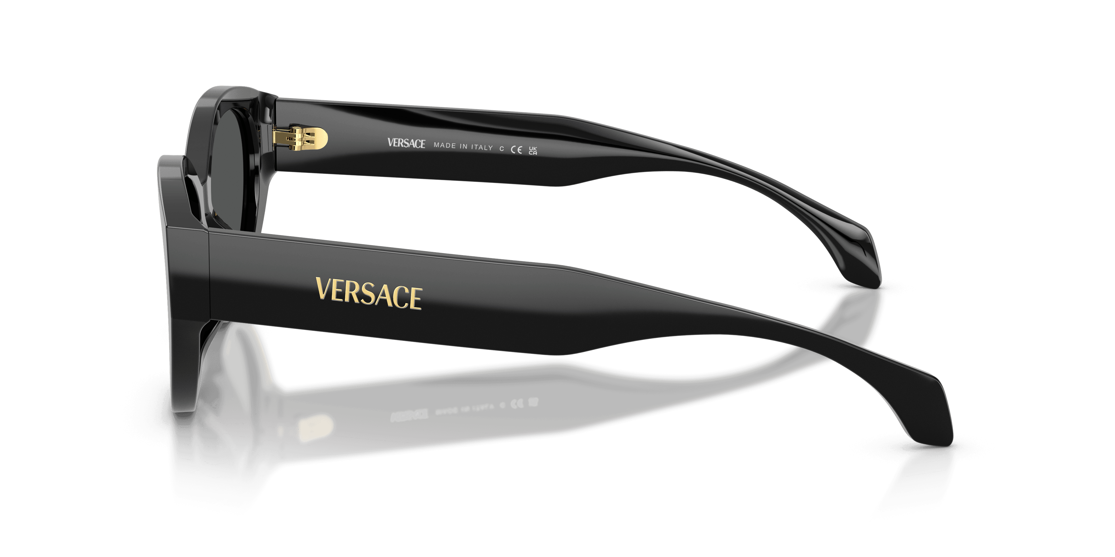 Versace 0VE4495D Güneş Gözlüğü 2