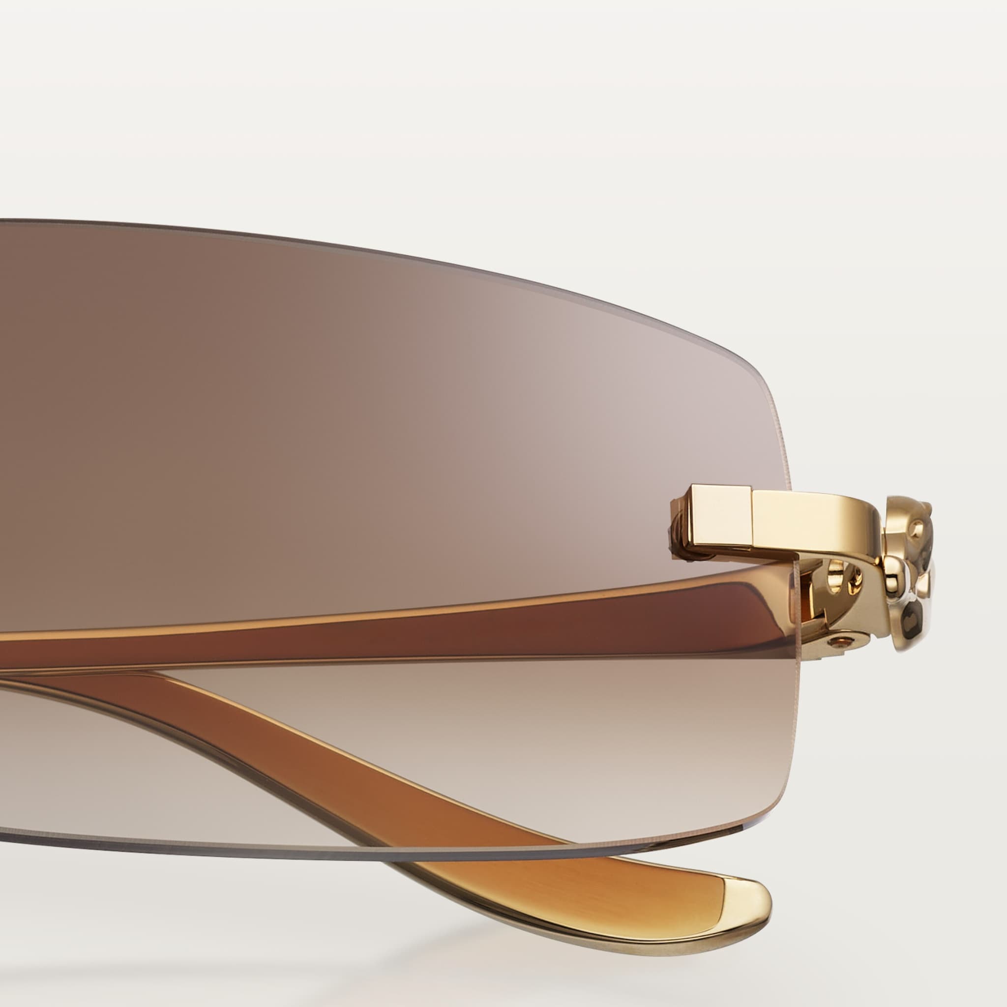 Panthère de Cartier güneş gözlüğü 6