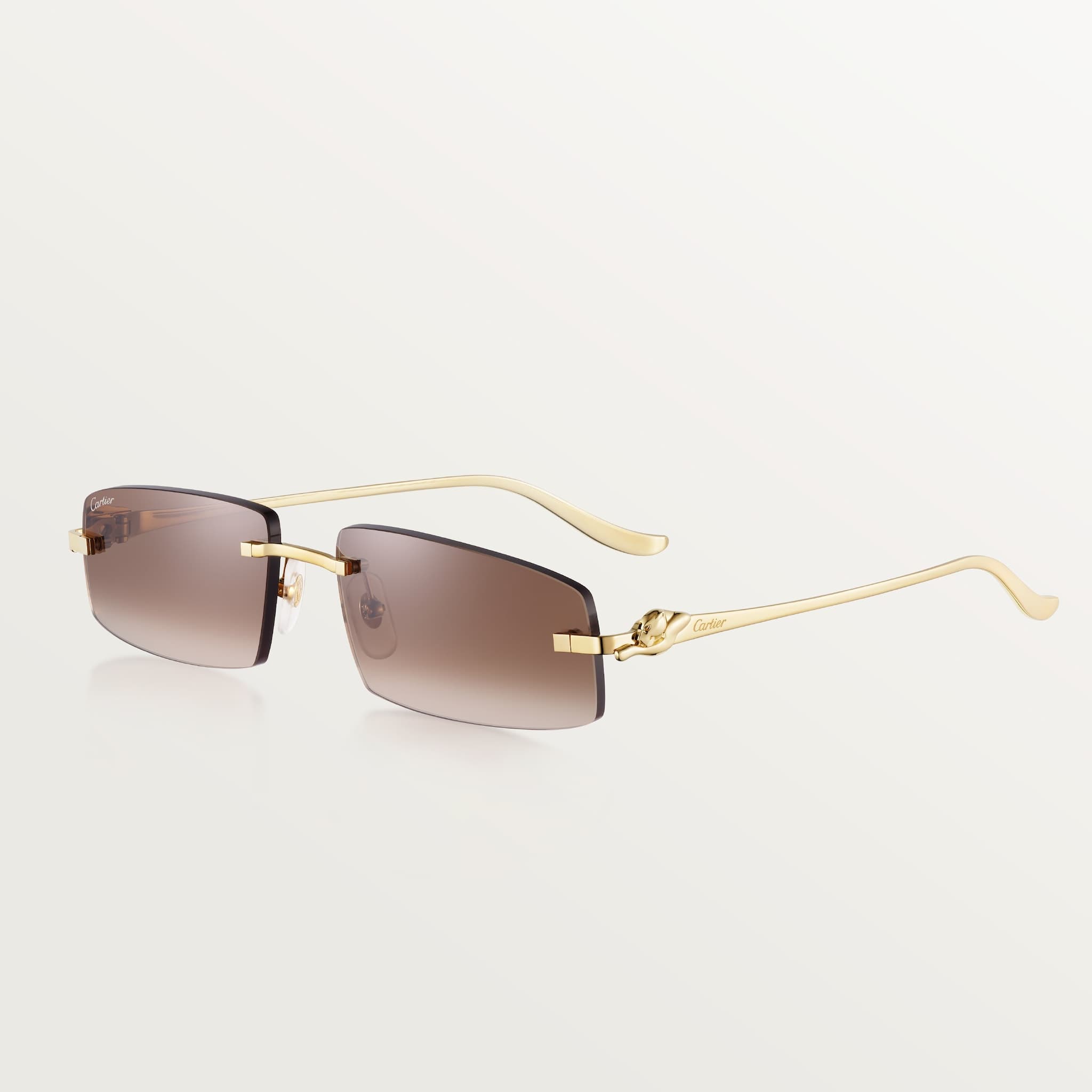 Cartier CRESW00707 gözlük